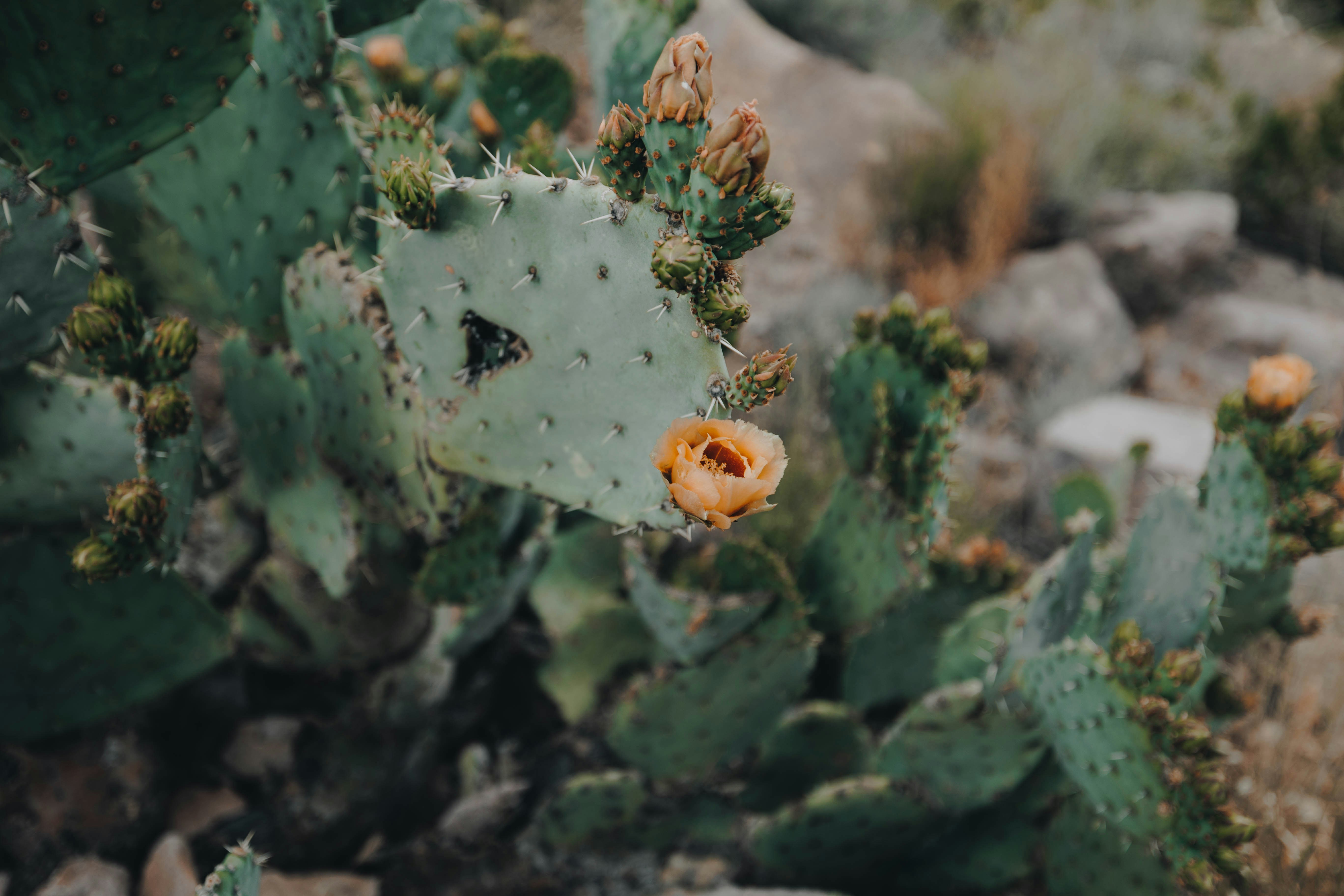 Photo by jeffersonsees