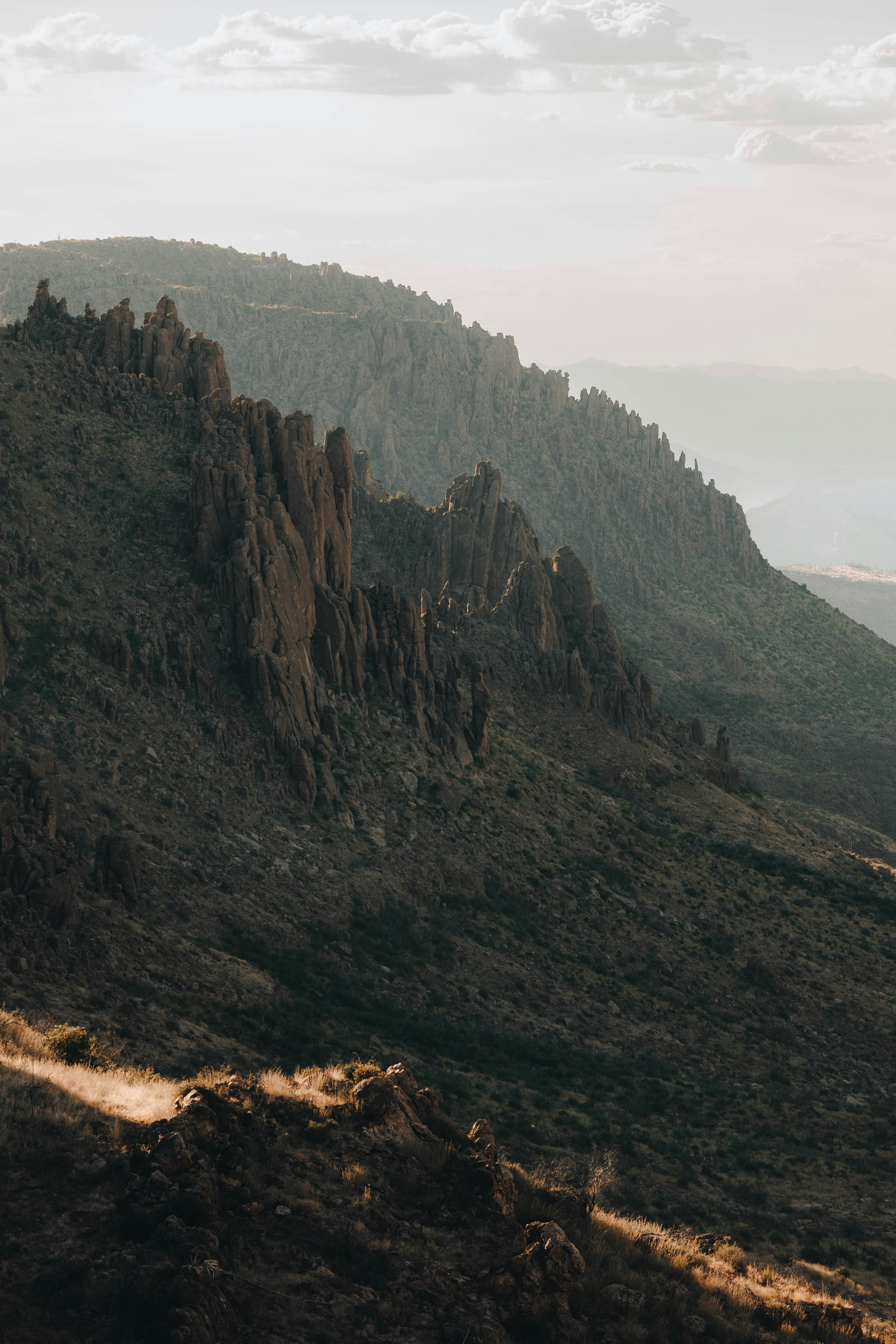 Photo by jeffersonsees