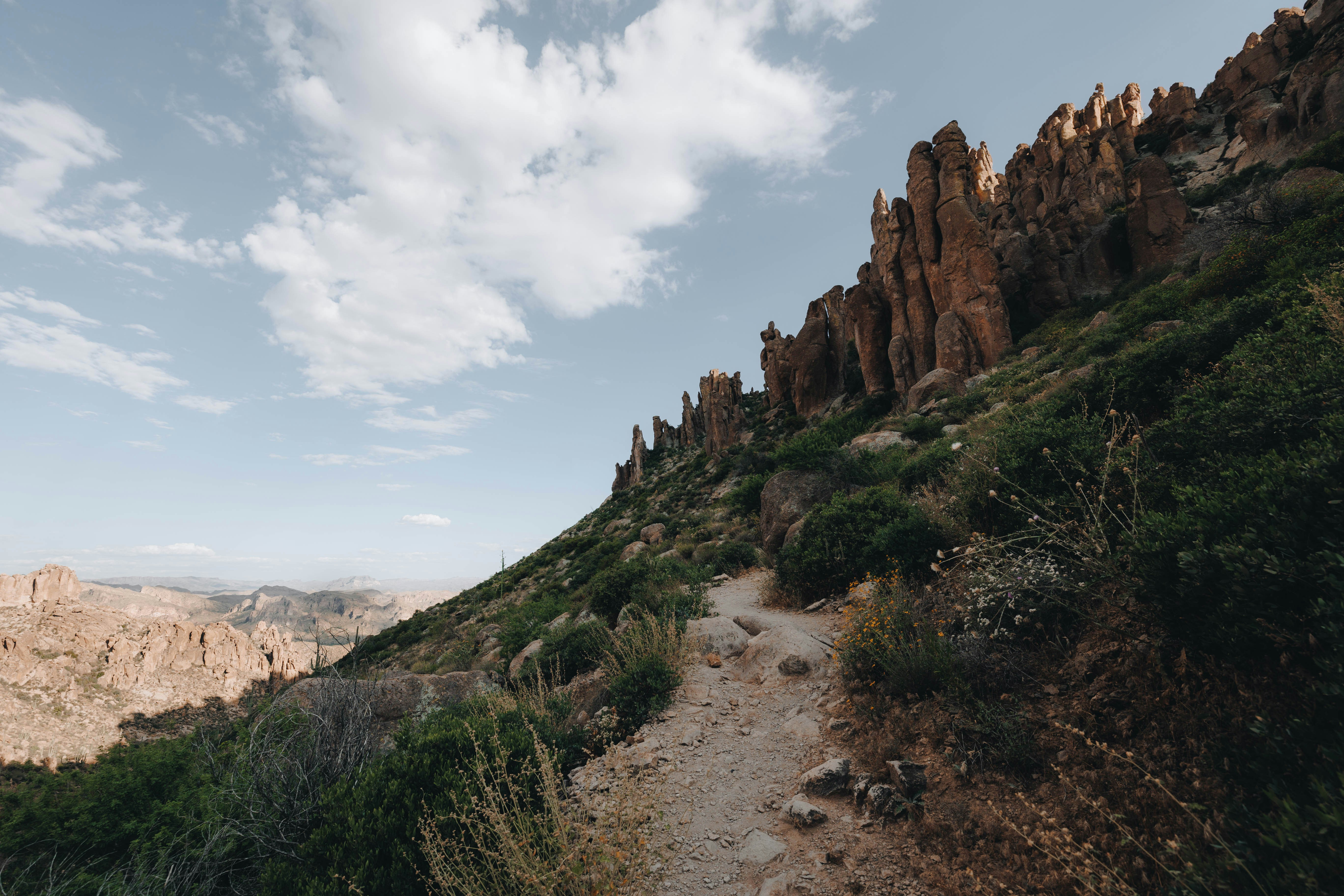 Photo by jeffersonsees