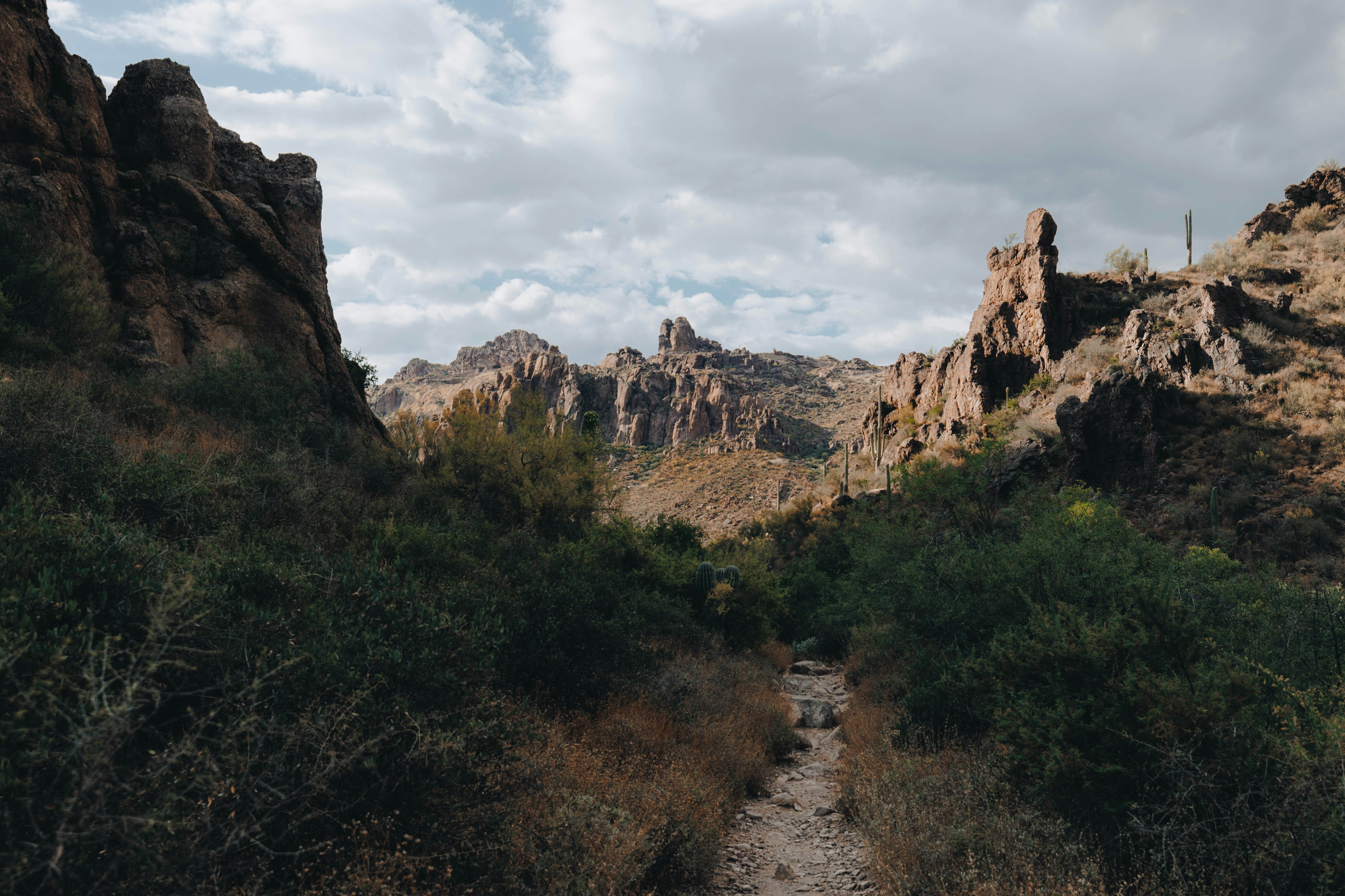 Photo by jeffersonsees