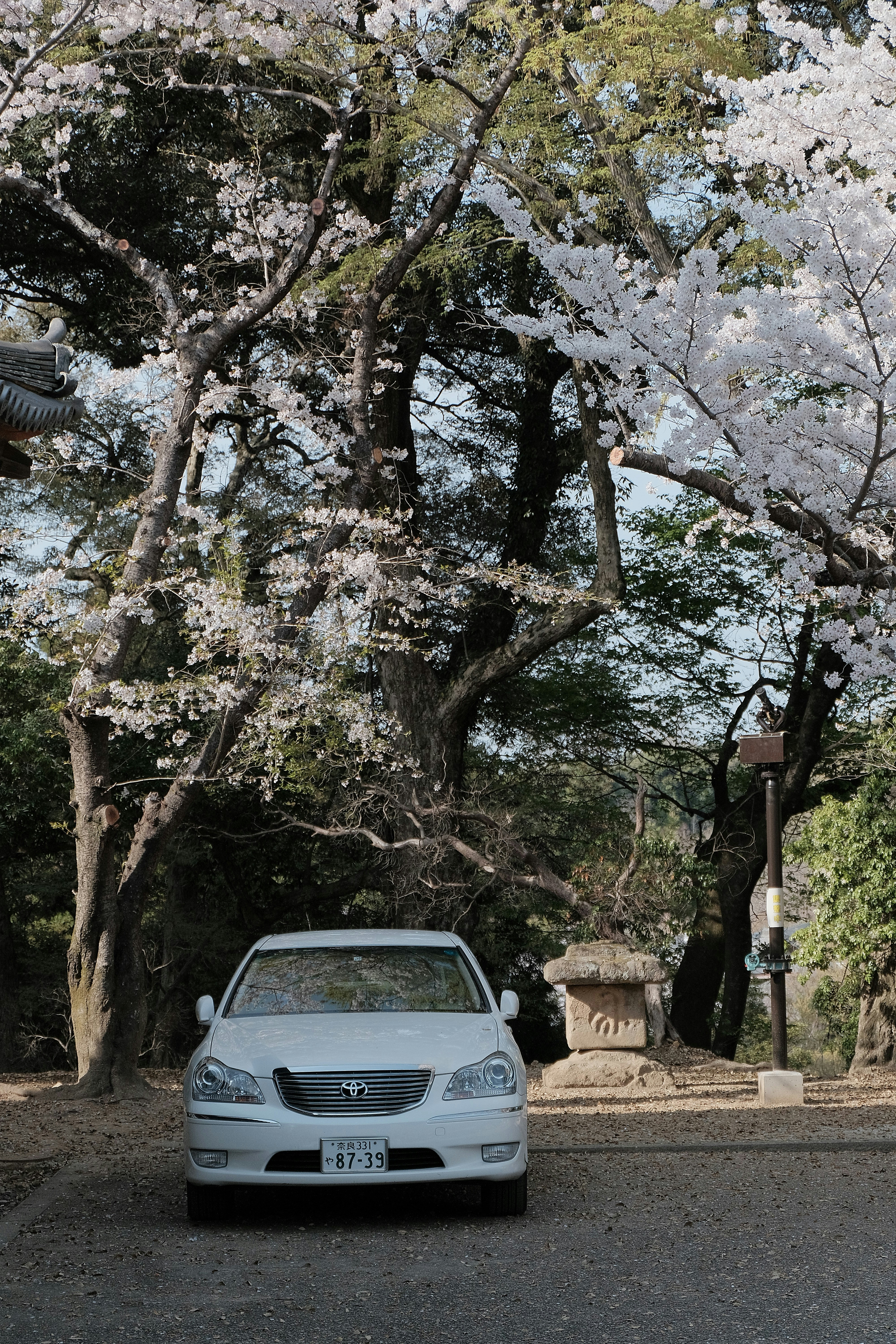 a white car parked on the side of the road