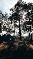 A calm forest campsite at dawn with a small tent and survival gear