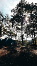 A serene campsite is nestled in a dense forest. Tall trees with lush foliage tower above, allowing dappled sunlight to filter through. A single blue tent is pitched on the earthy ground, surrounded by fallen leaves. The atmosphere suggests early morning or late afternoon light, creating a peaceful and natural setting.