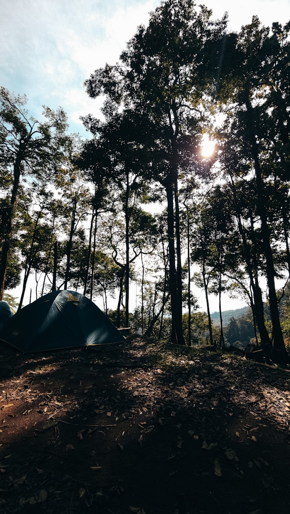 Saco de Dormir Trail Rest