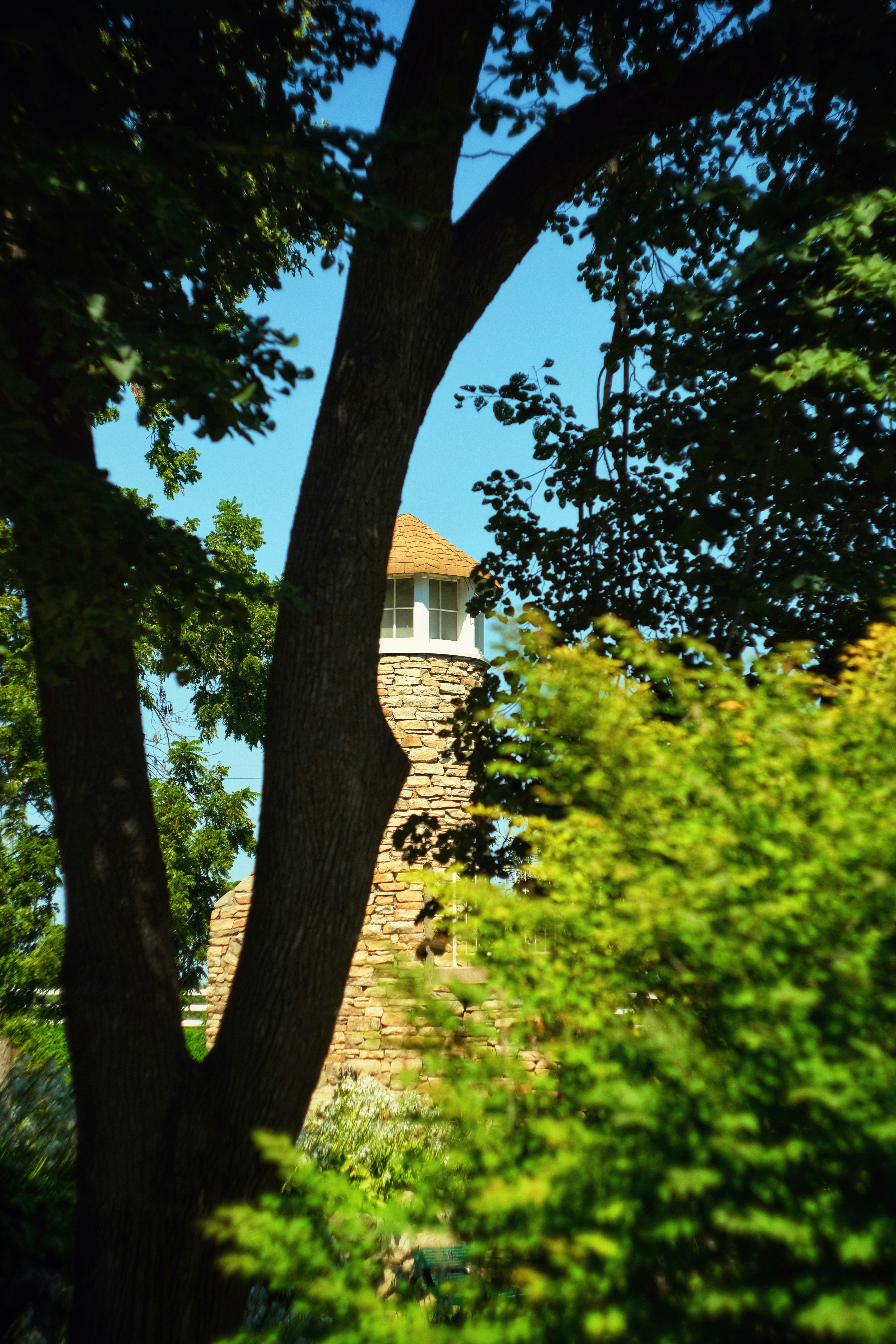 Photo by consoledotlog