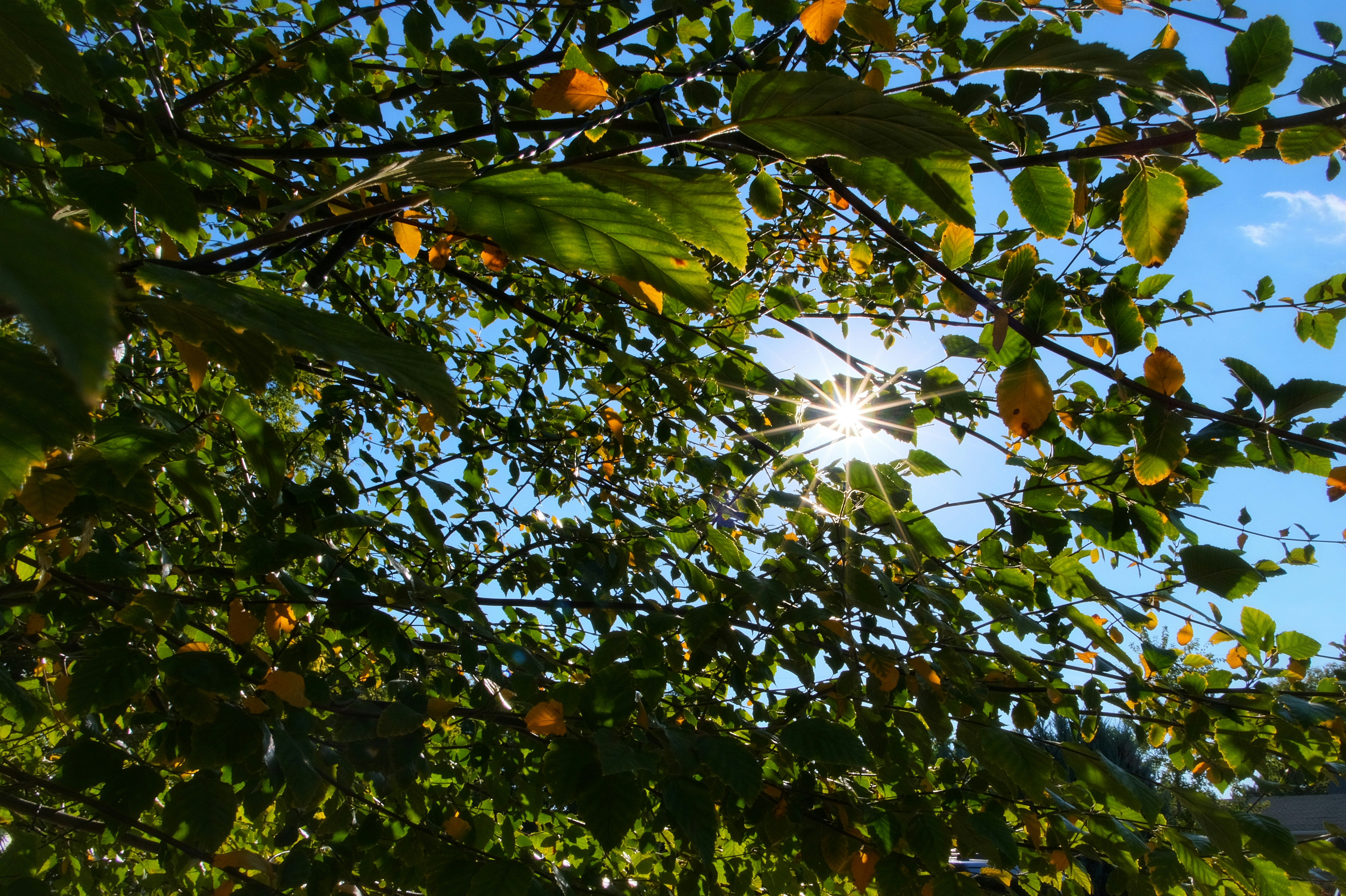 Photo by consoledotlog