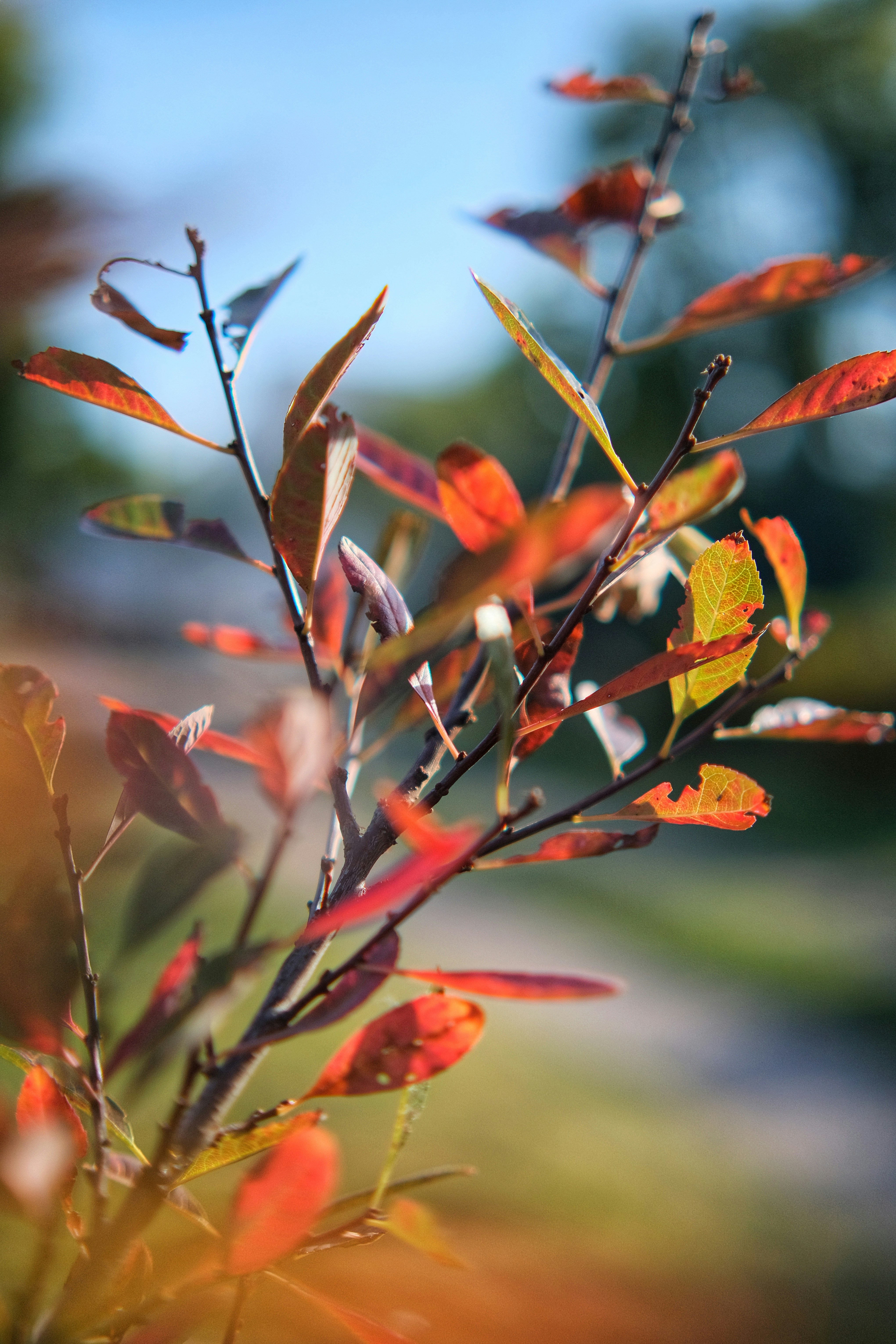 Photo by consoledotlog