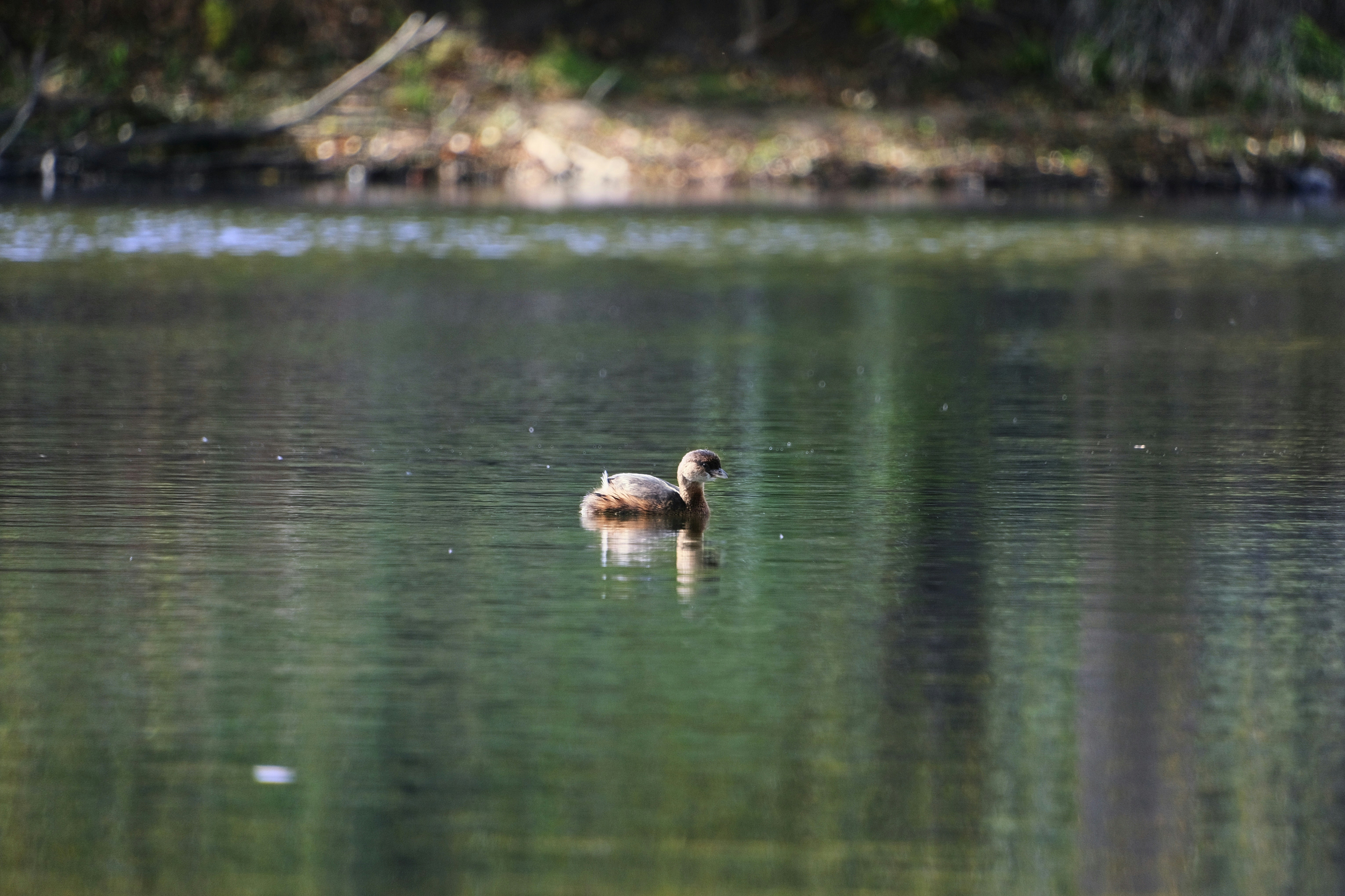 Photo by consoledotlog