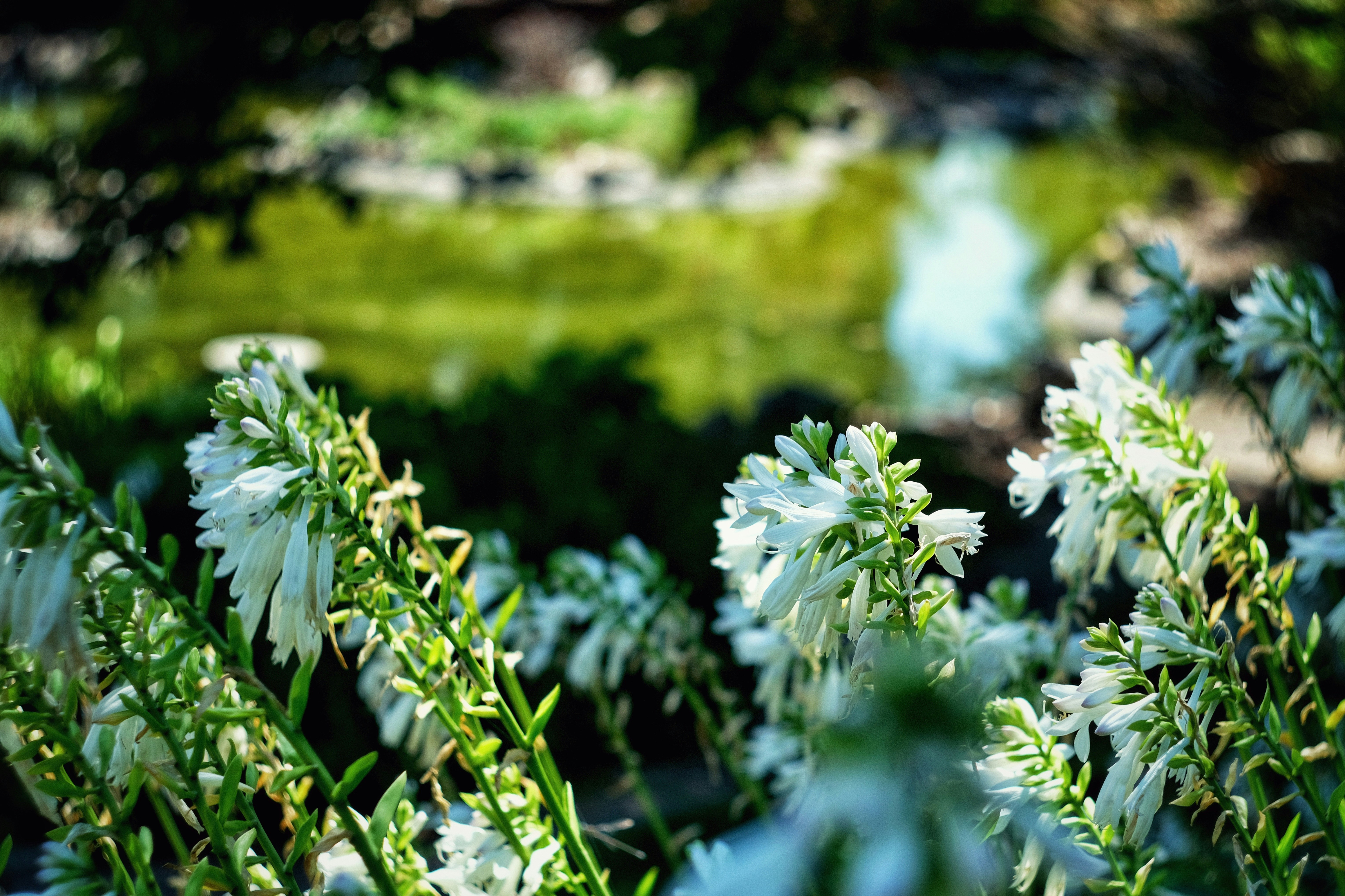 Photo by consoledotlog