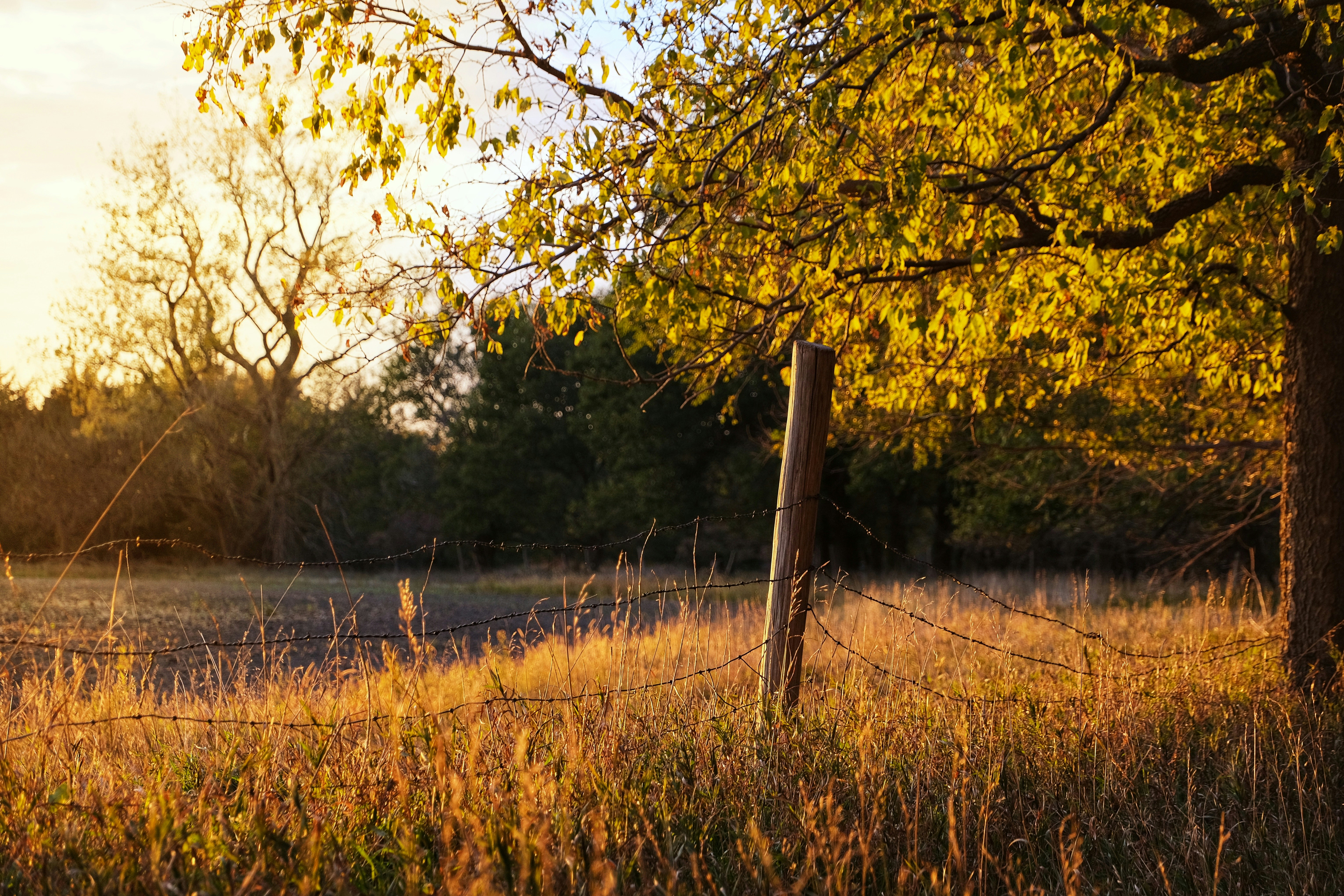 Photo by consoledotlog