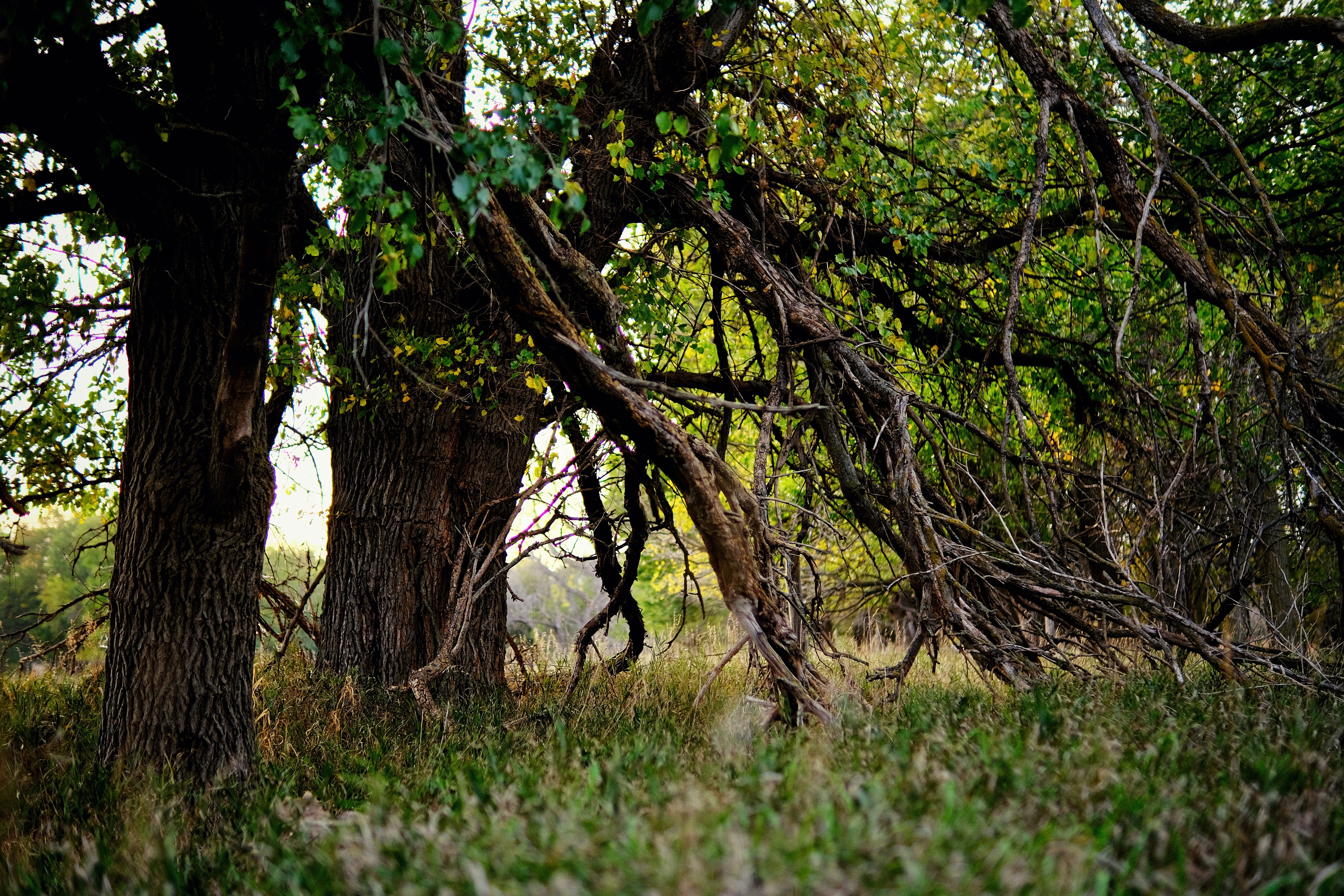 Photo by consoledotlog