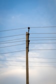 A concrete utility pole supports several electrical wires extending horizontally against a clear blue sky. The wires are evenly spaced and attached using insulators on the pole.