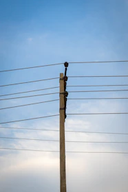 Workers installing new concrete electrical poles in a residential area under clear skies.