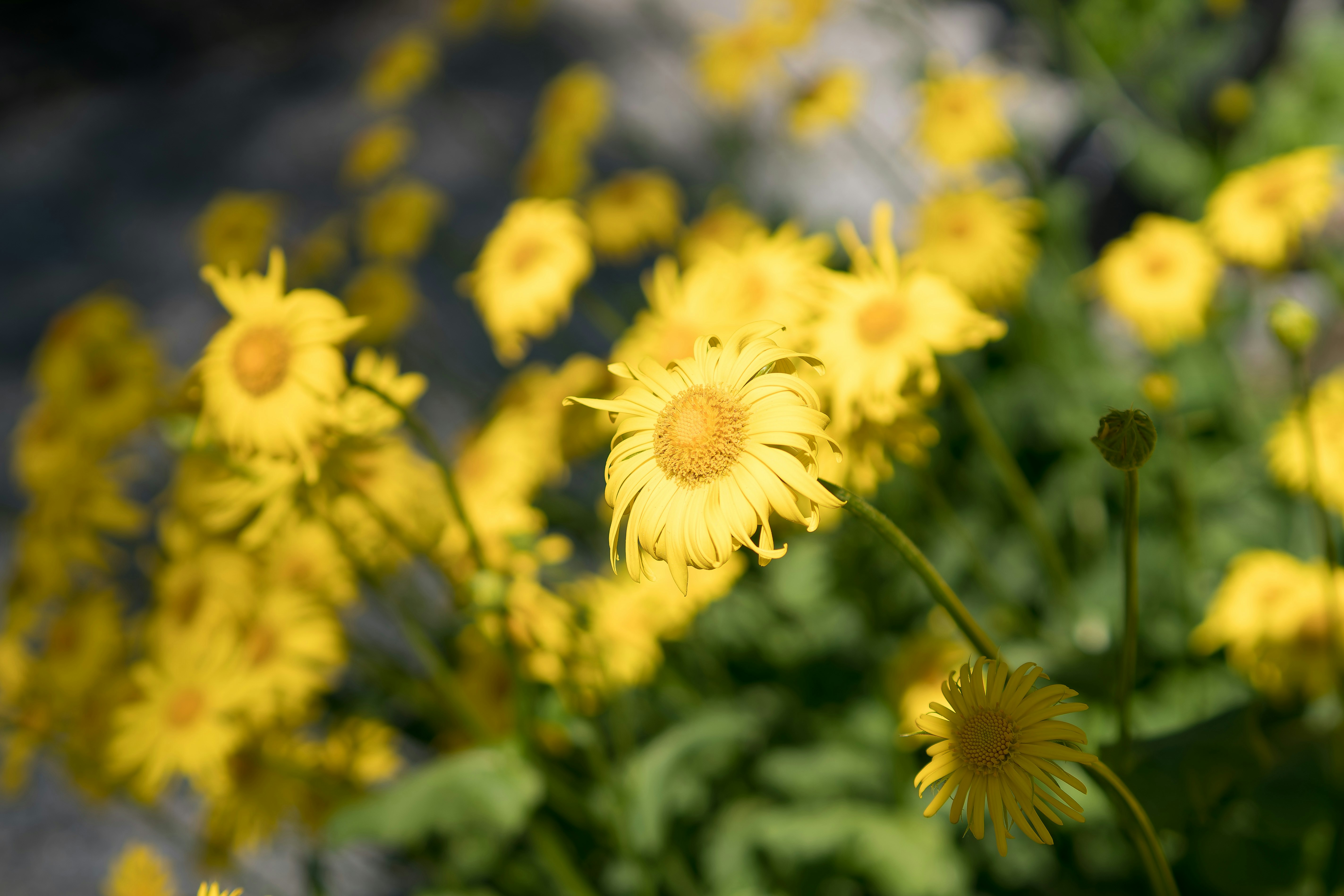 Photo by karographix