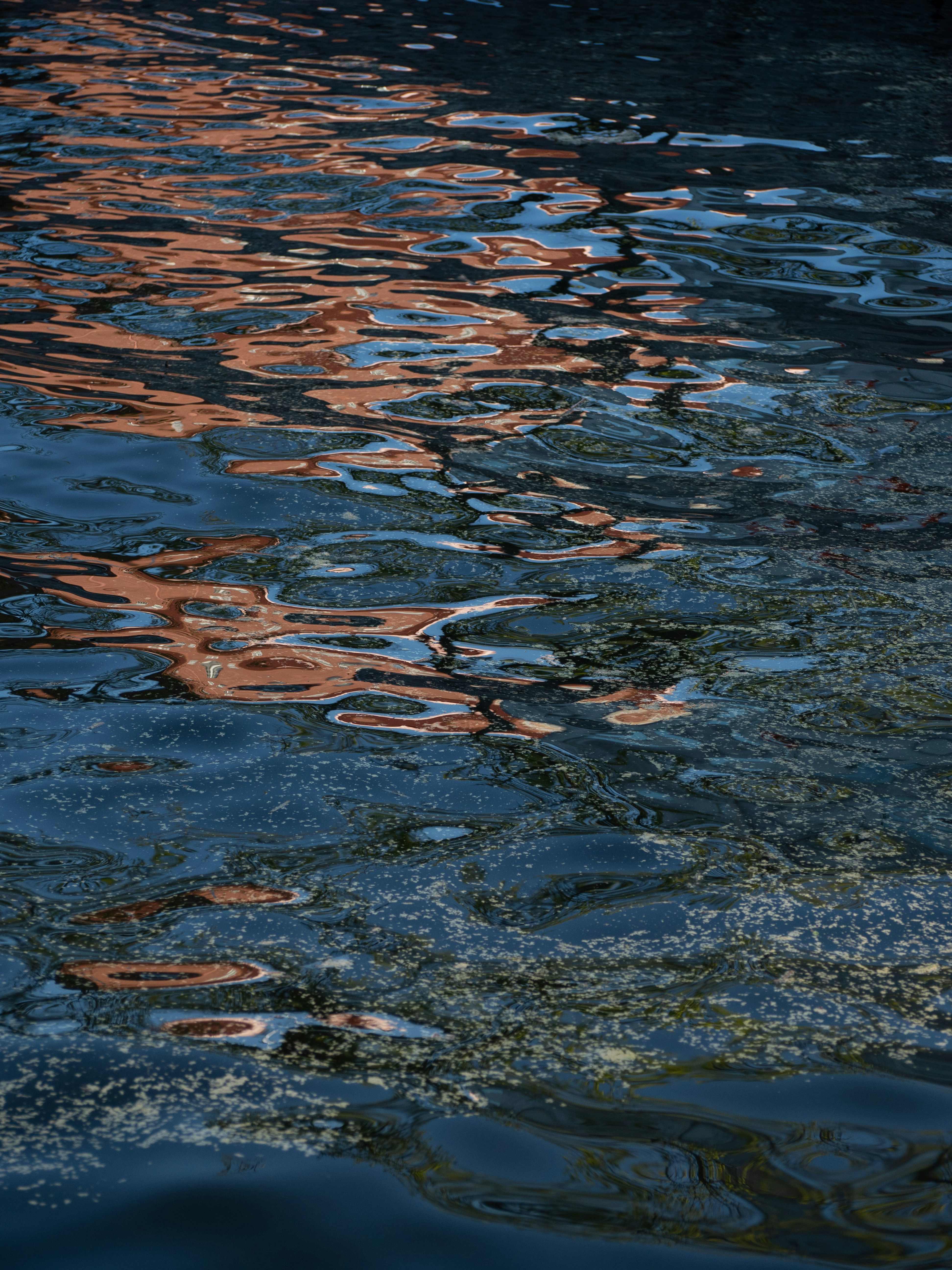 Photo by janifreelancing