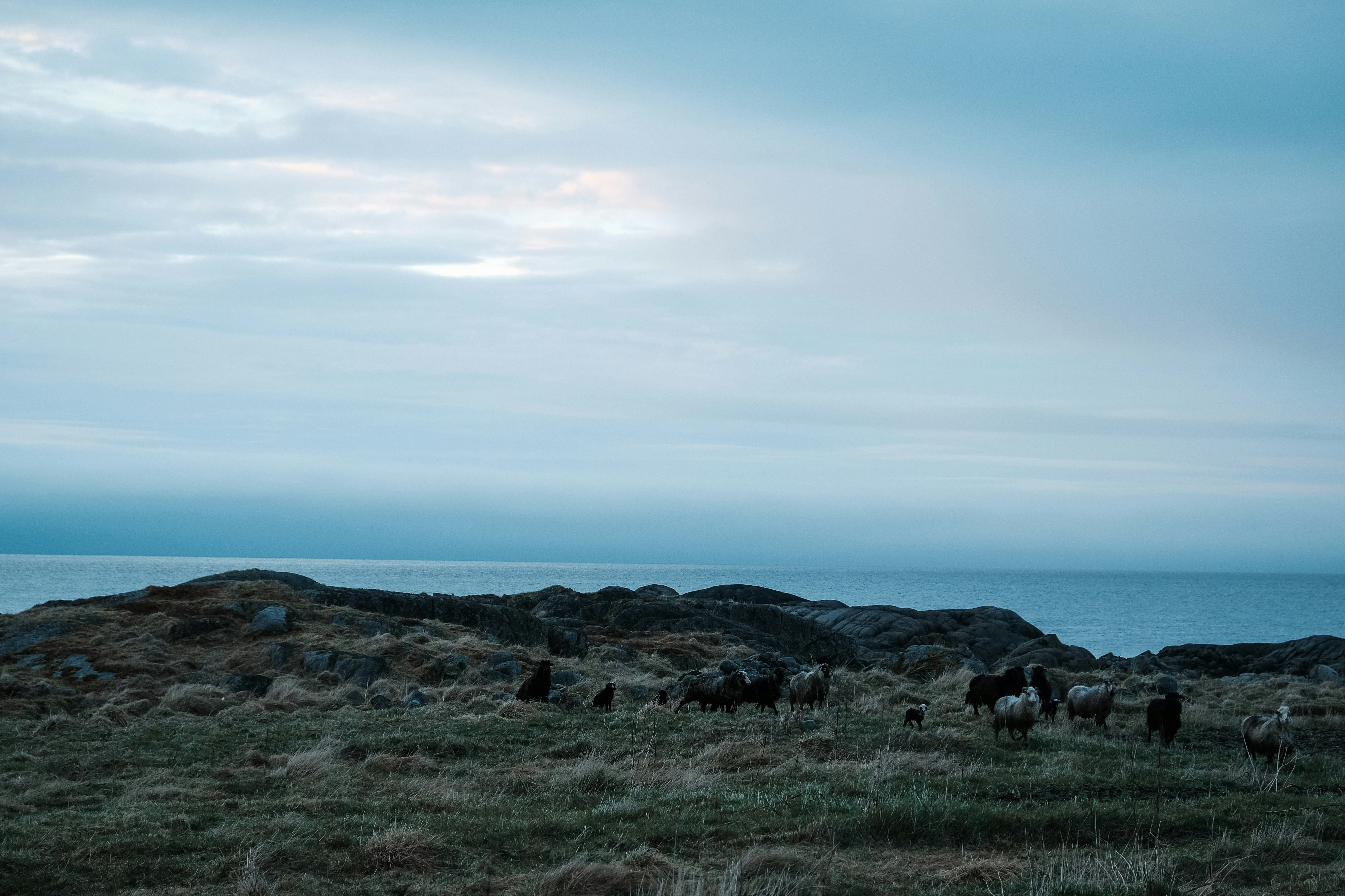 Photo by niklasjesper