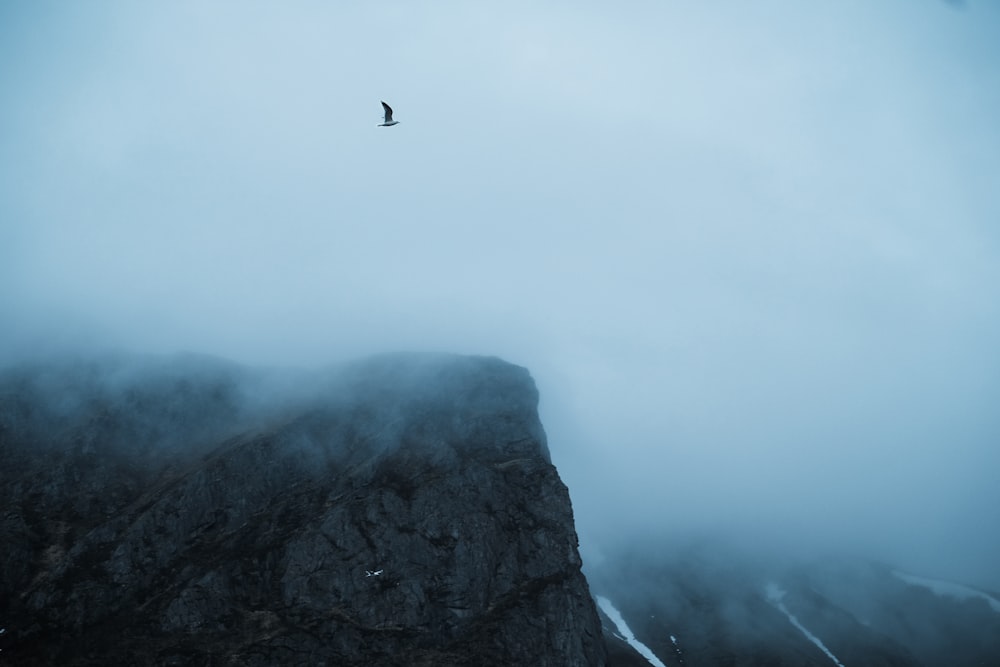 a bird flying over a mountain covered in fog