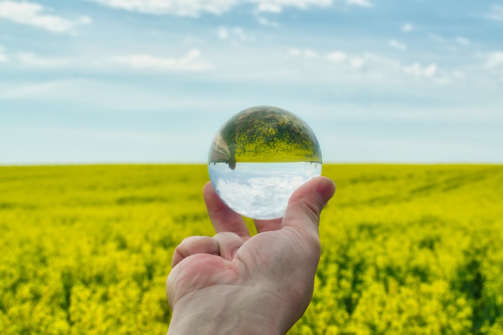 uma mão segurando uma bola de vidro em frente a um campo verde