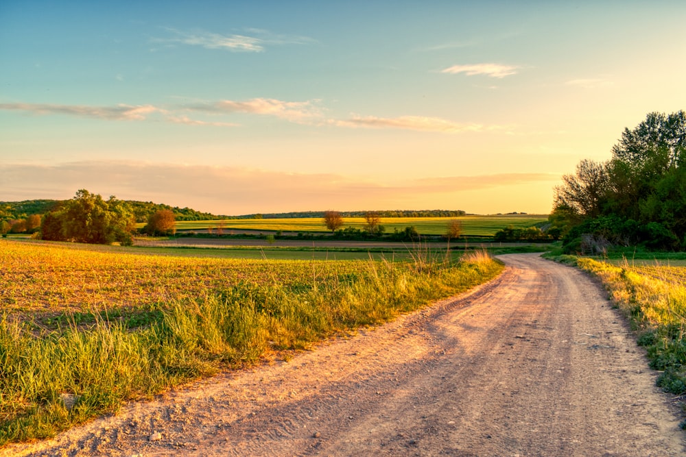 a dirt road in the middle of a field