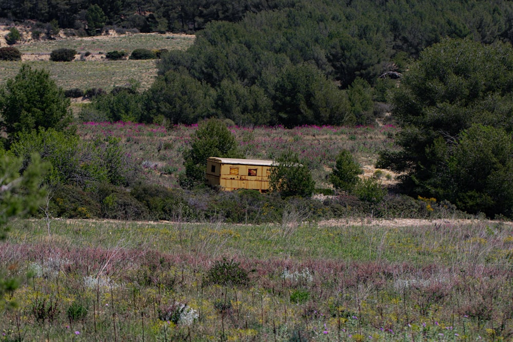 a yellow box sitting in the middle of a field