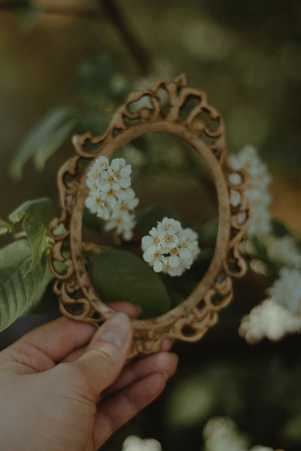a person holding a small mirror with flowers in it