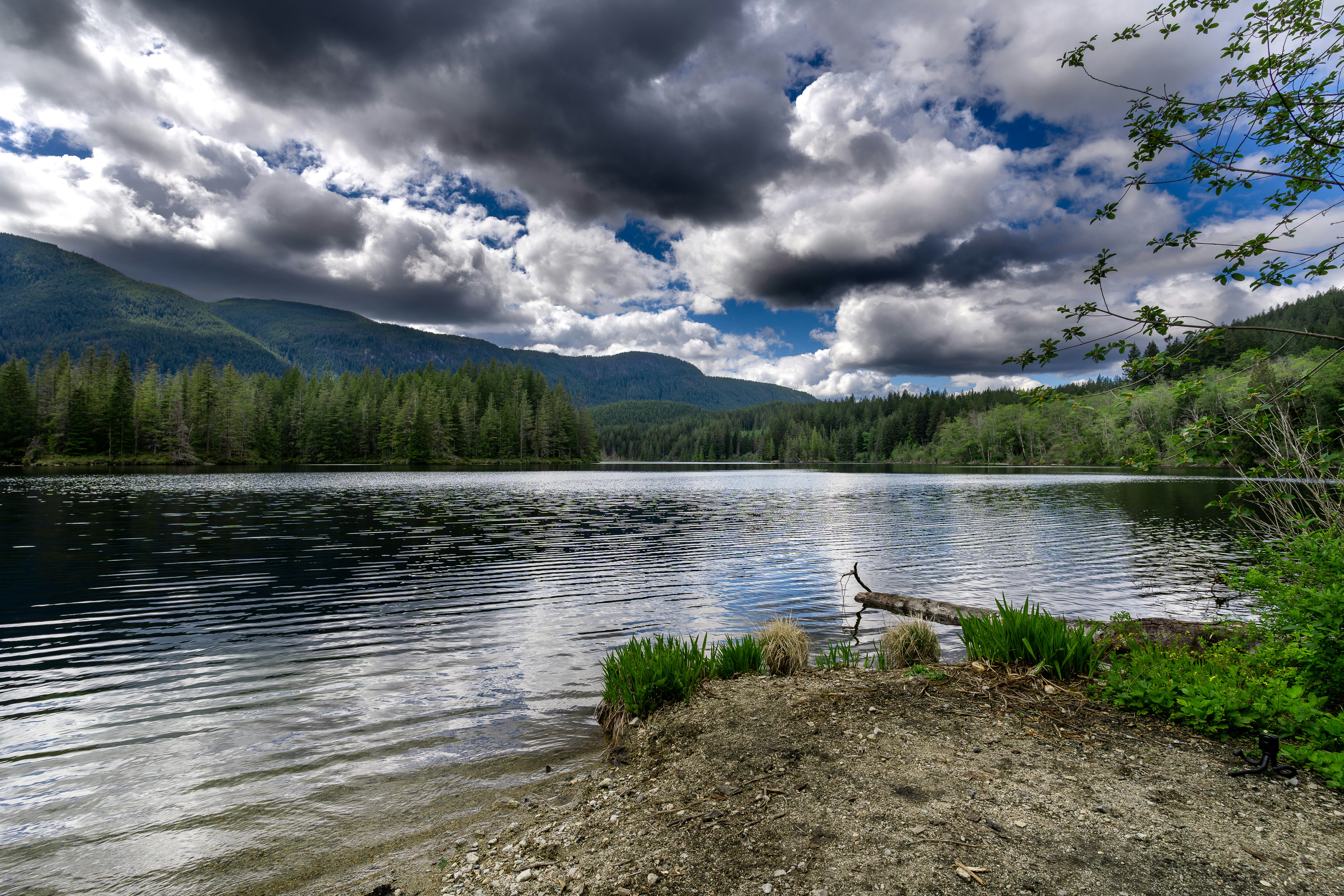 Photo by sunshine_coast