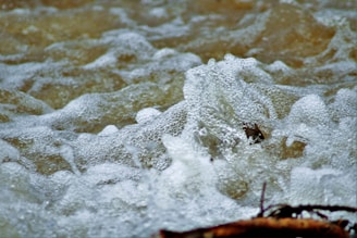 Foamy, bubbling water with visible white froth and turbulent movement, suggesting agitated natural water flow.