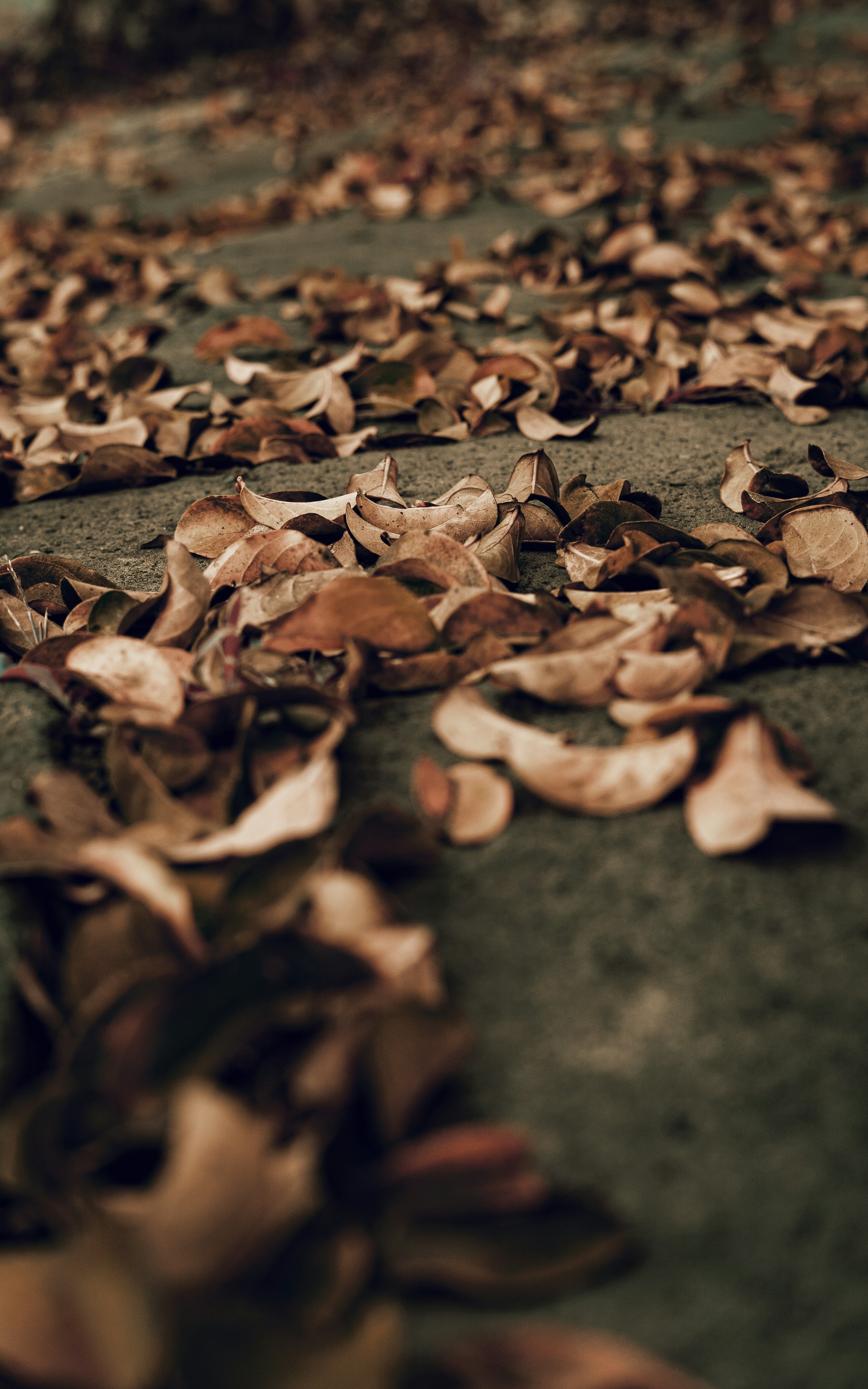 Photo by katalinsalles