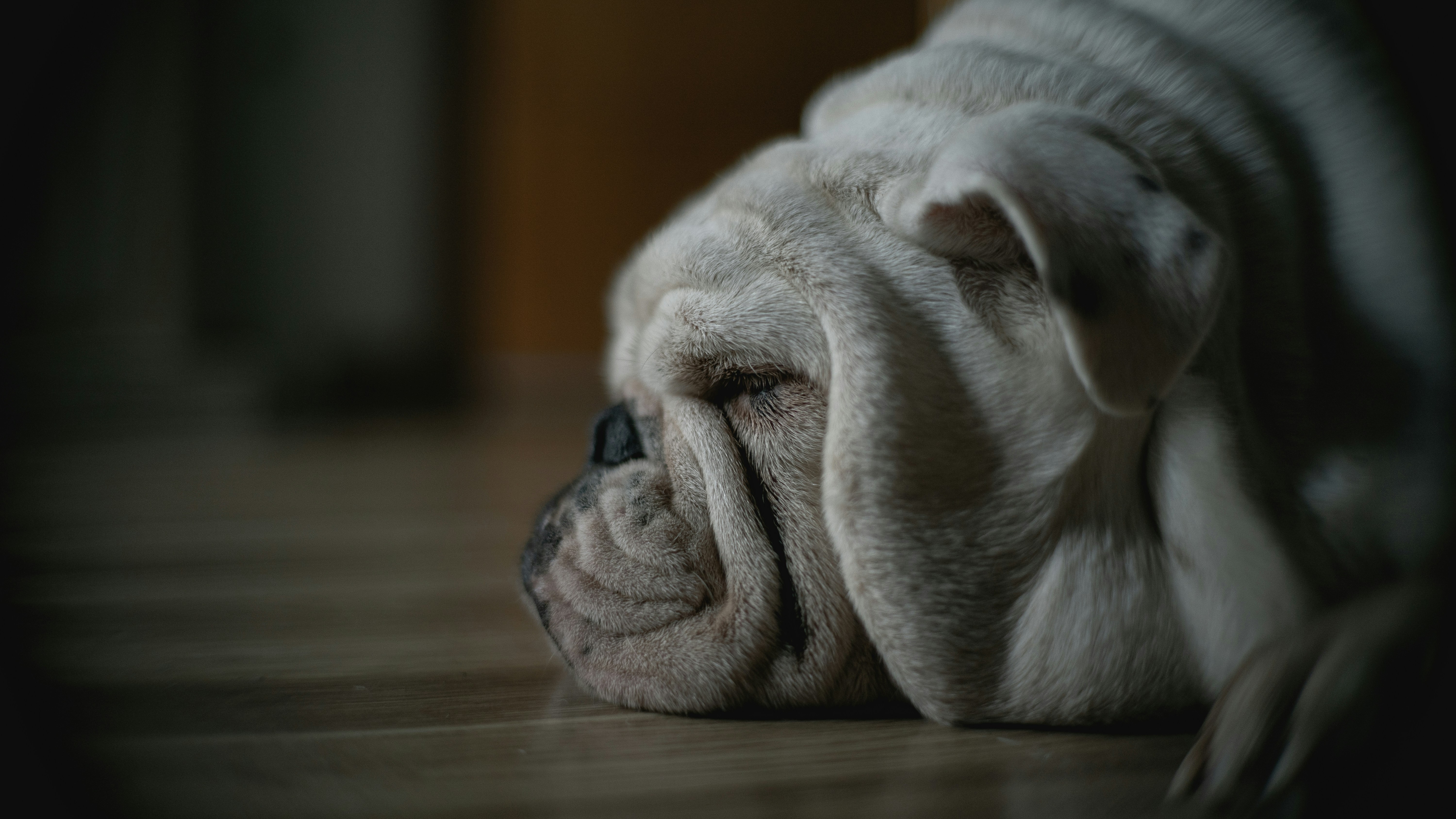 Photo by katalinsalles