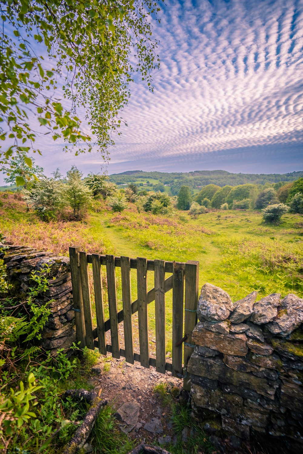 a wooden gate in the middle of a grassy field