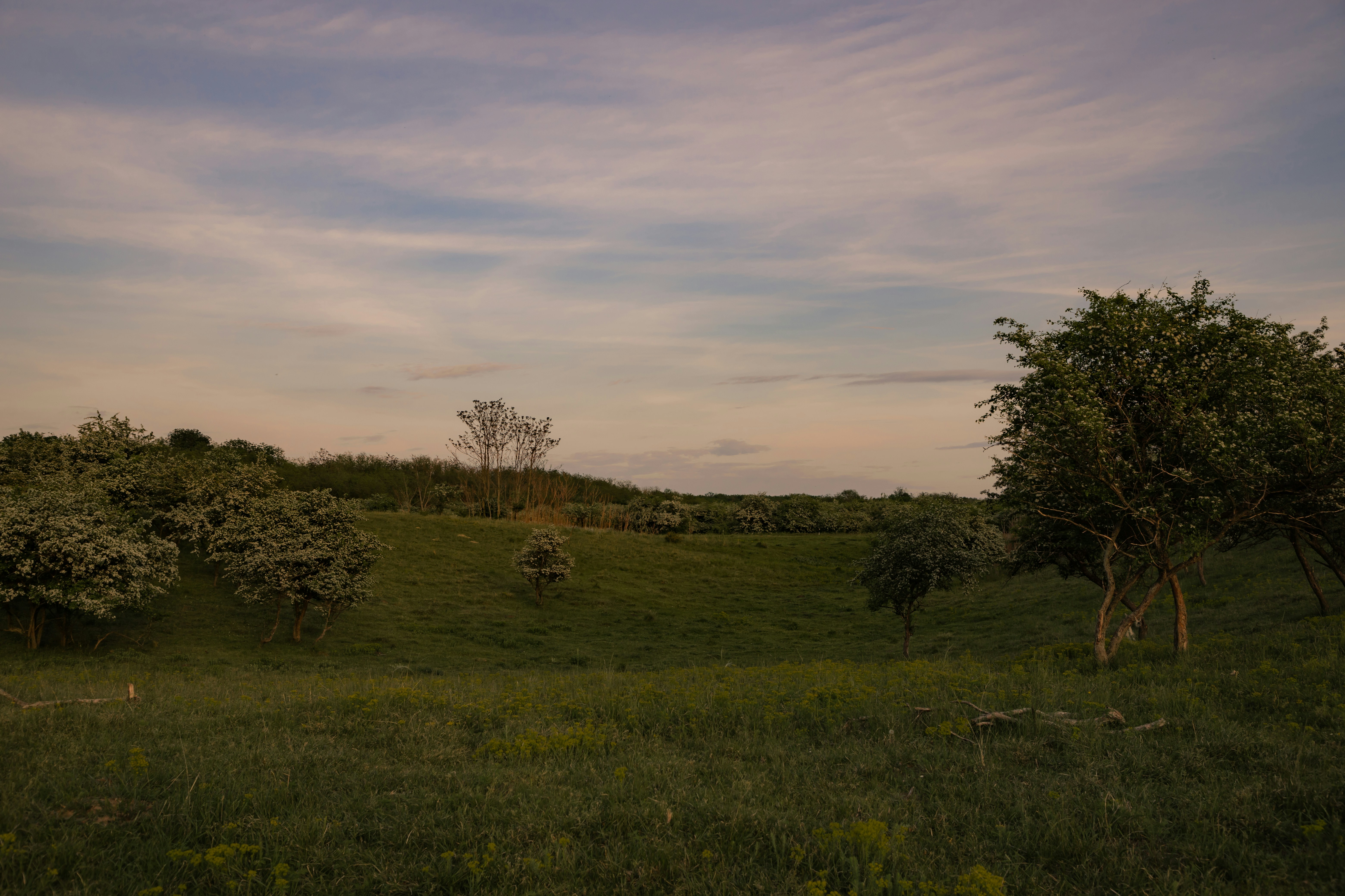 Photo by jovanvasiljevic