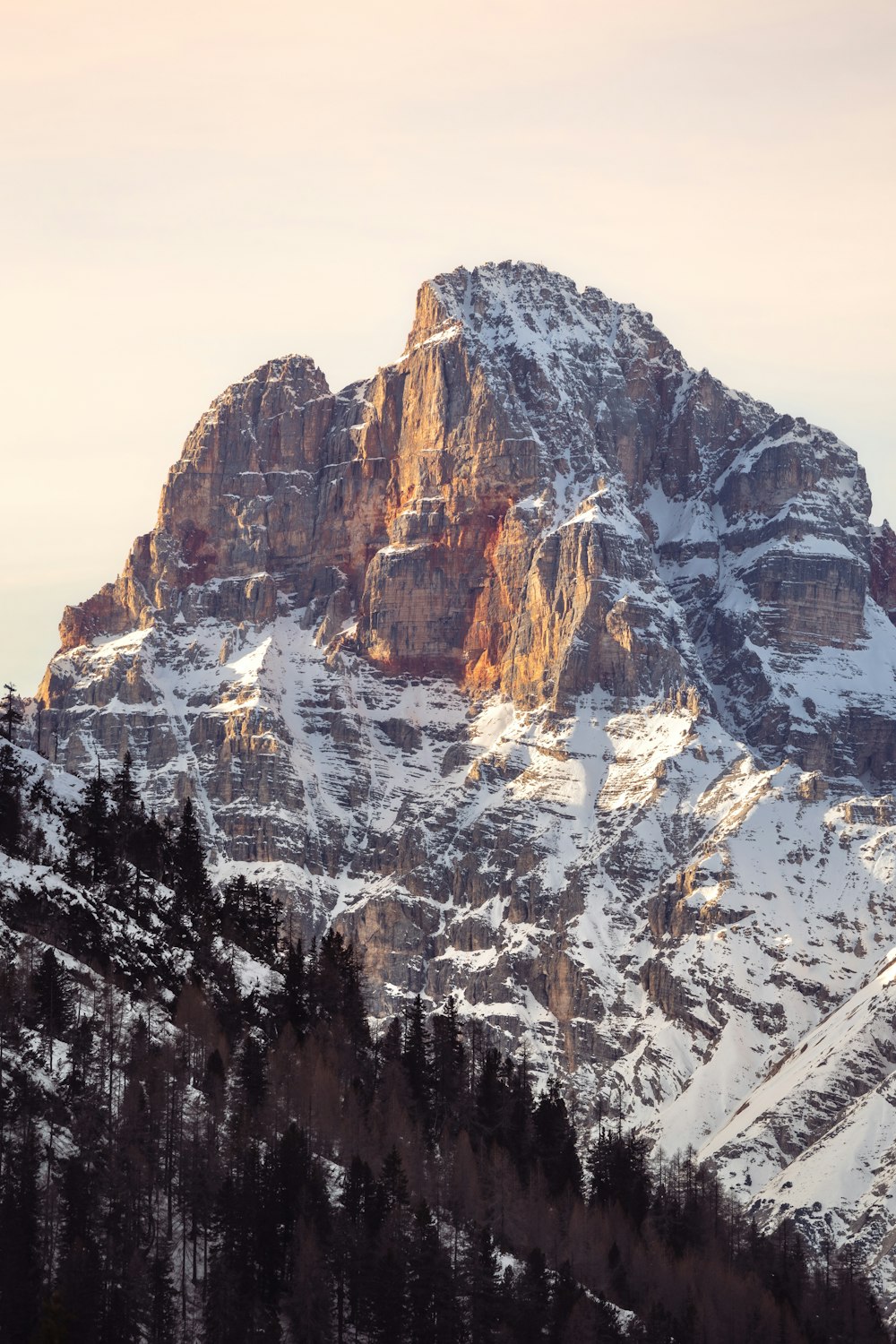 a snow covered mountain with trees in the foreground