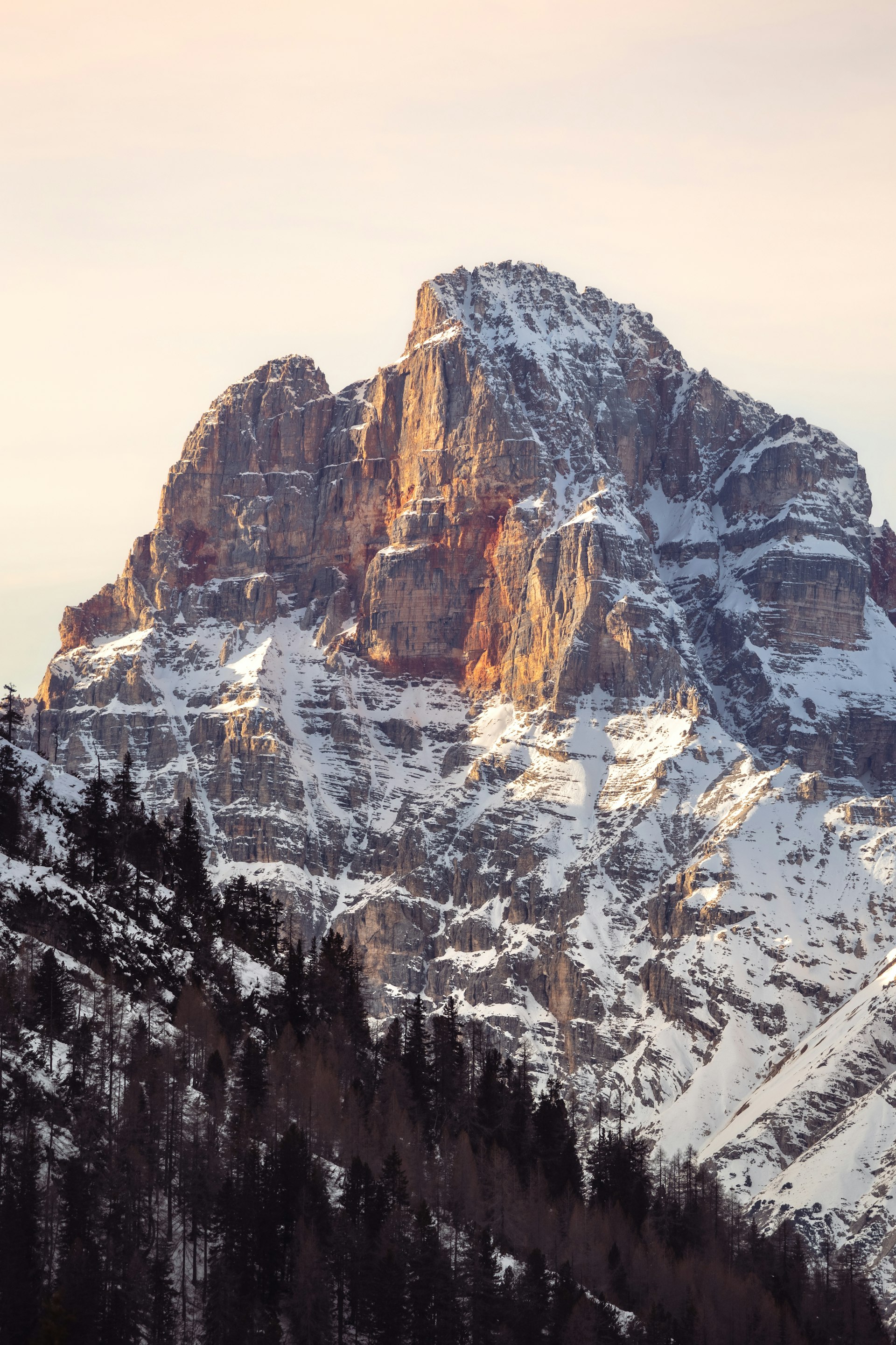 Neural Canvas - Gallery