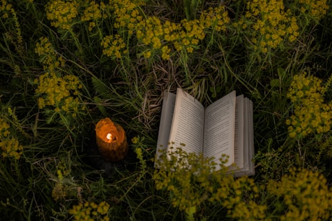 an open book and a lit candle in a field of flowers