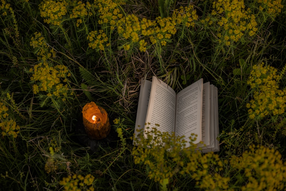 an open book and a lit candle in a field of flowers