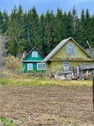 Two rustic wooden houses, one painted green with red trim and the other a faded yellow, stand amidst tall evergreen trees. The foreground shows a rough patch of open, tilled land with scattered grass. Various pieces of old farm equipment and debris are scattered outside the yellow house.