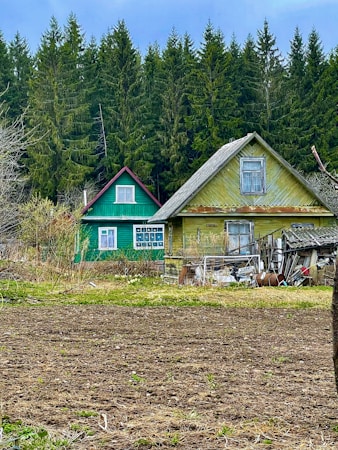 Embrace Self-Sustainability: Grow, Bake, and Build