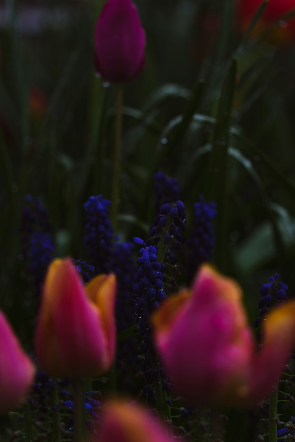 un ramo de flores que están en la hierba