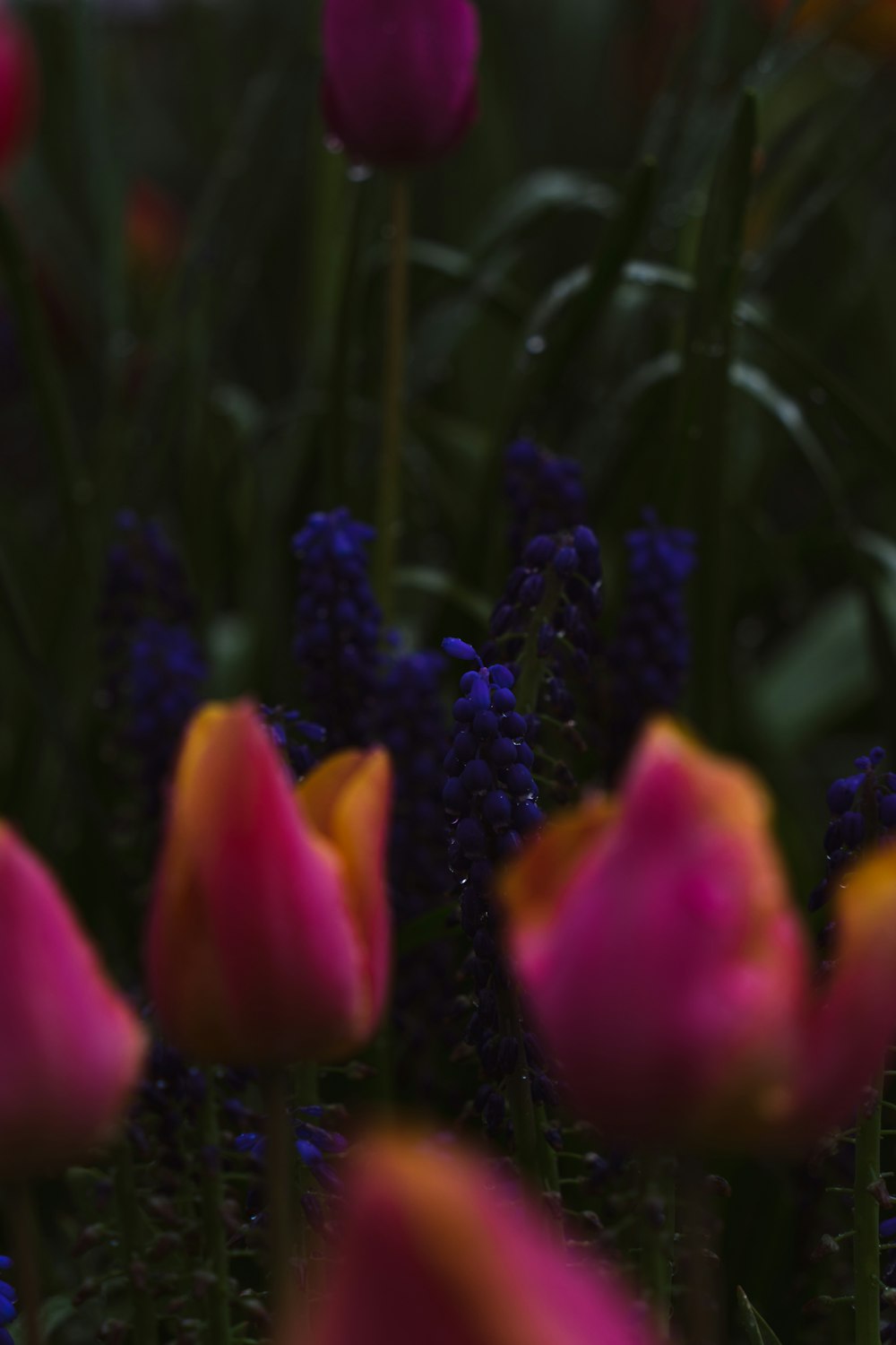 un ramo de flores que están en la hierba