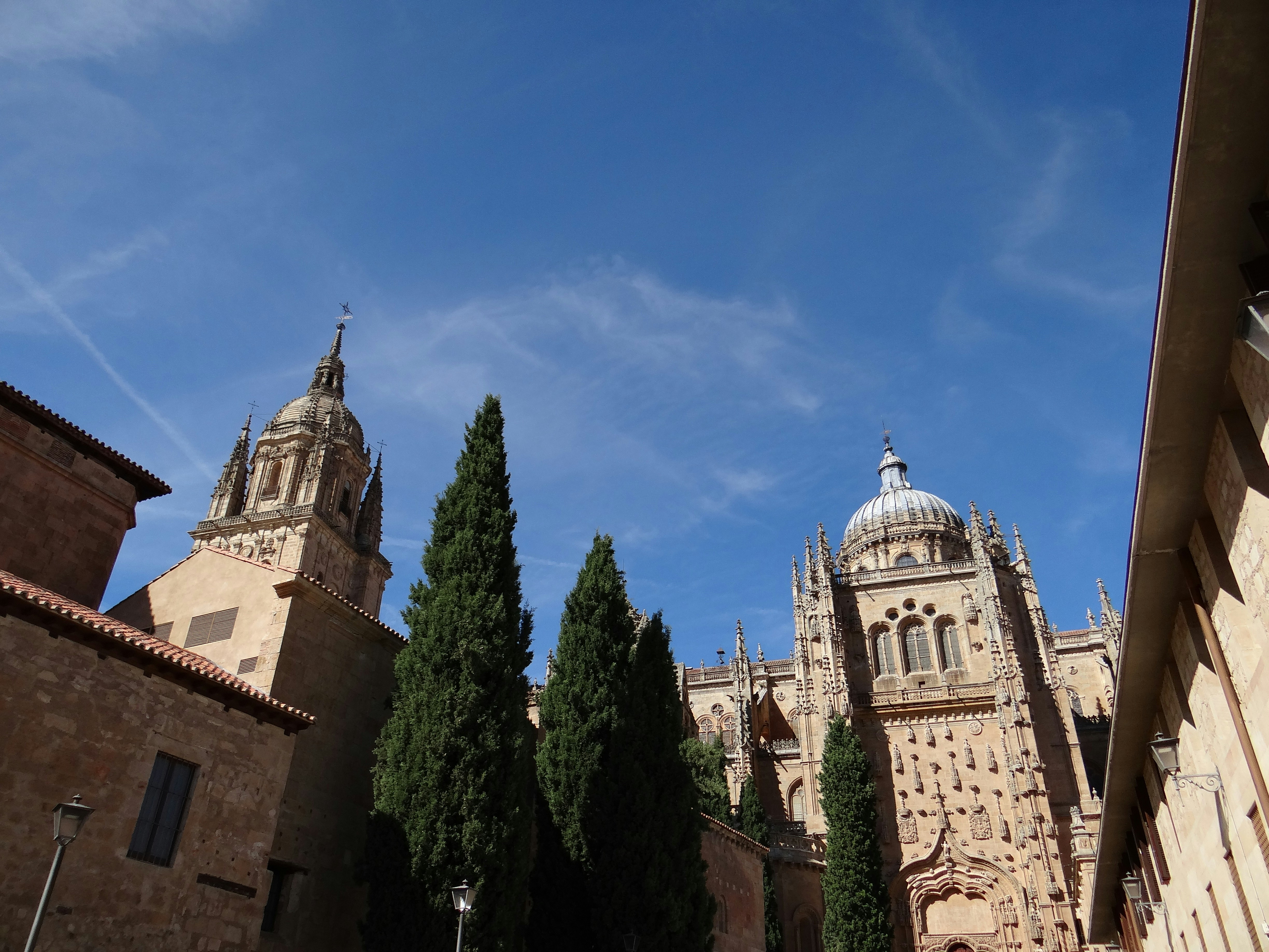 Photo by macornelsen