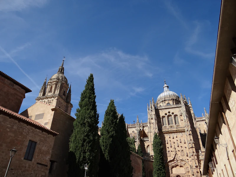 Best Sights in Salamanca Away From the Tourist Traps
