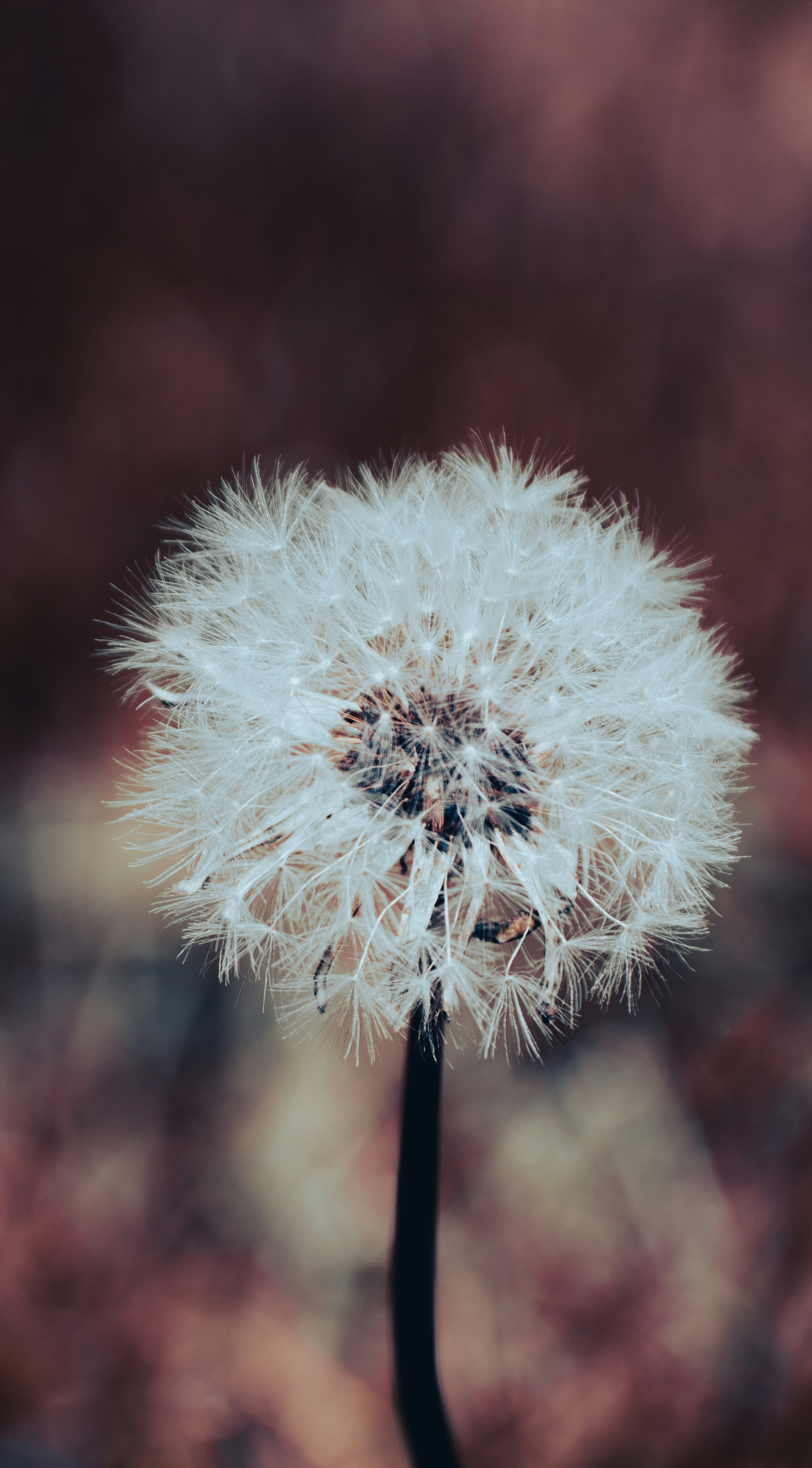 Photo by sinabahar76