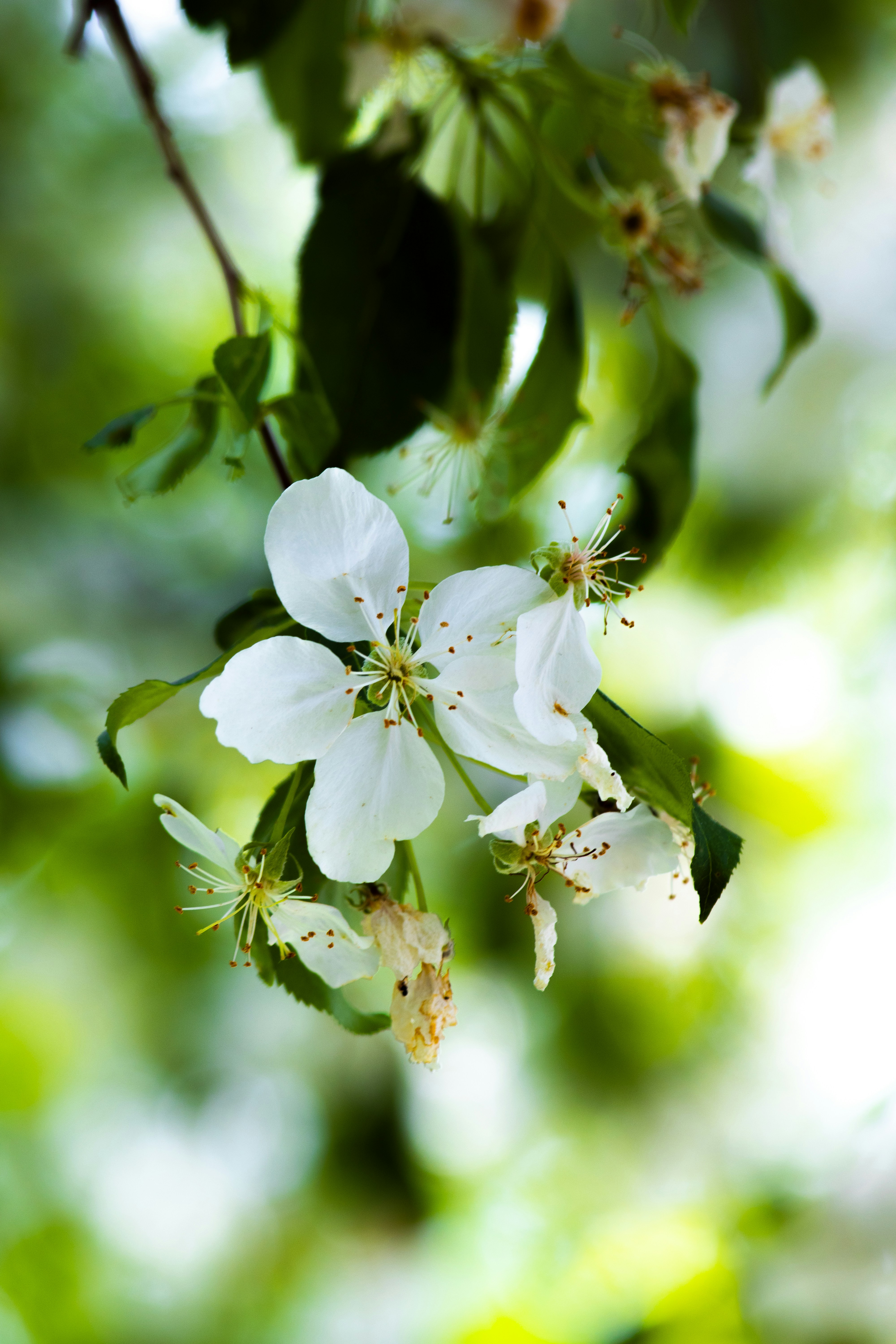 Photo by sinabahar76