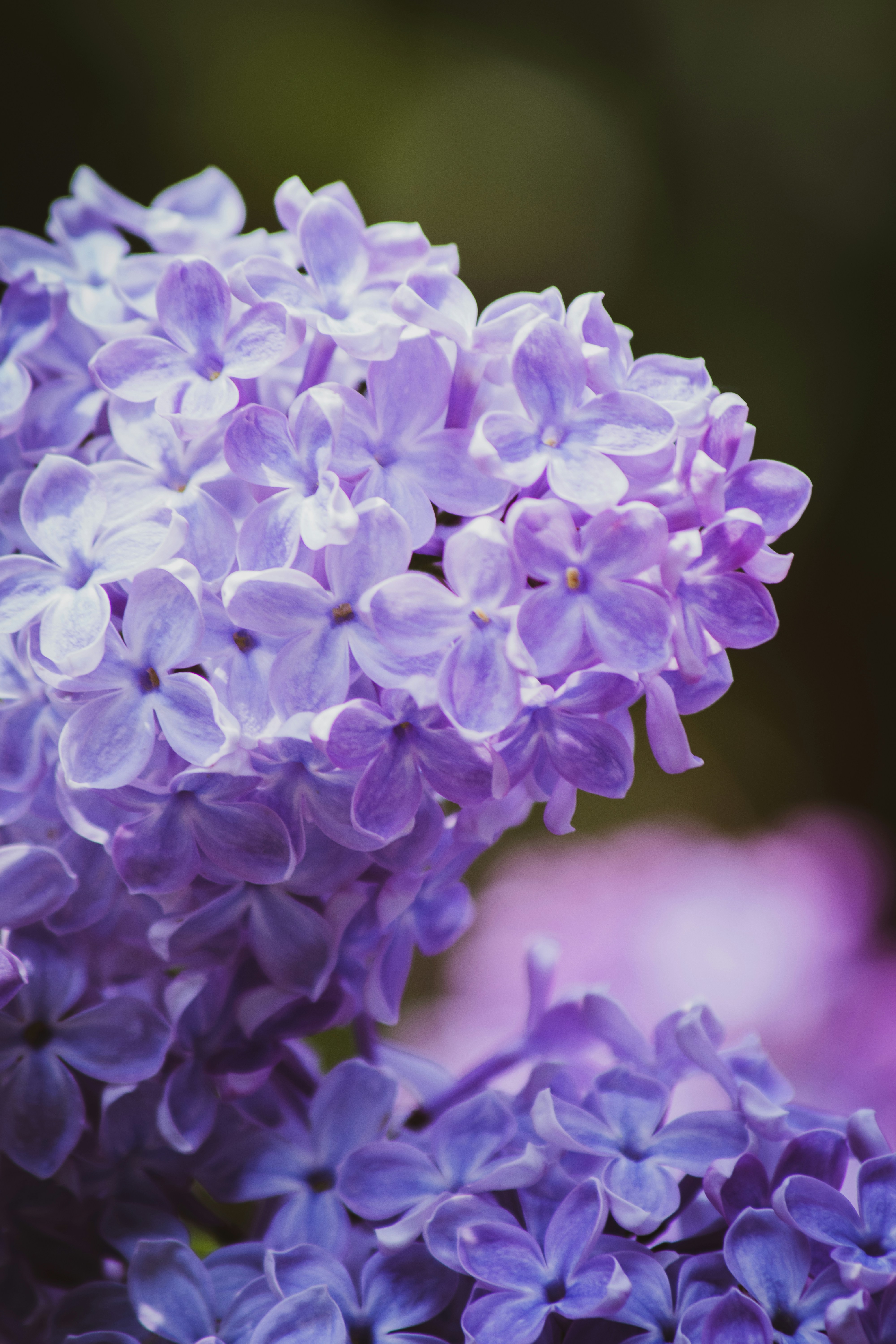 Photo by sinabahar76