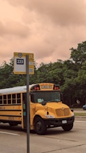 A friendly bus driver helping a child with special needs board a bright yellow school bus.