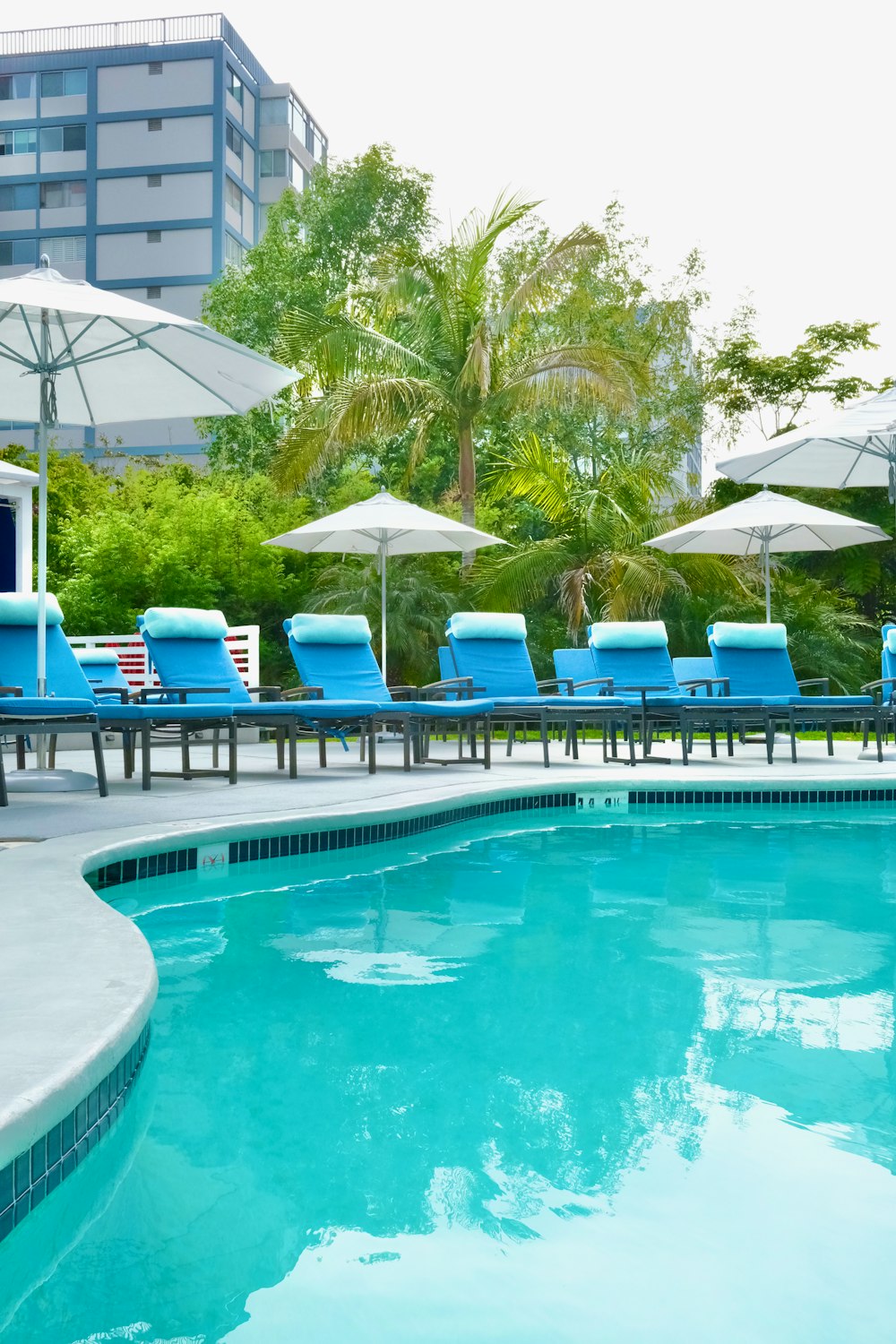 une piscine avec chaises et parasols à côté