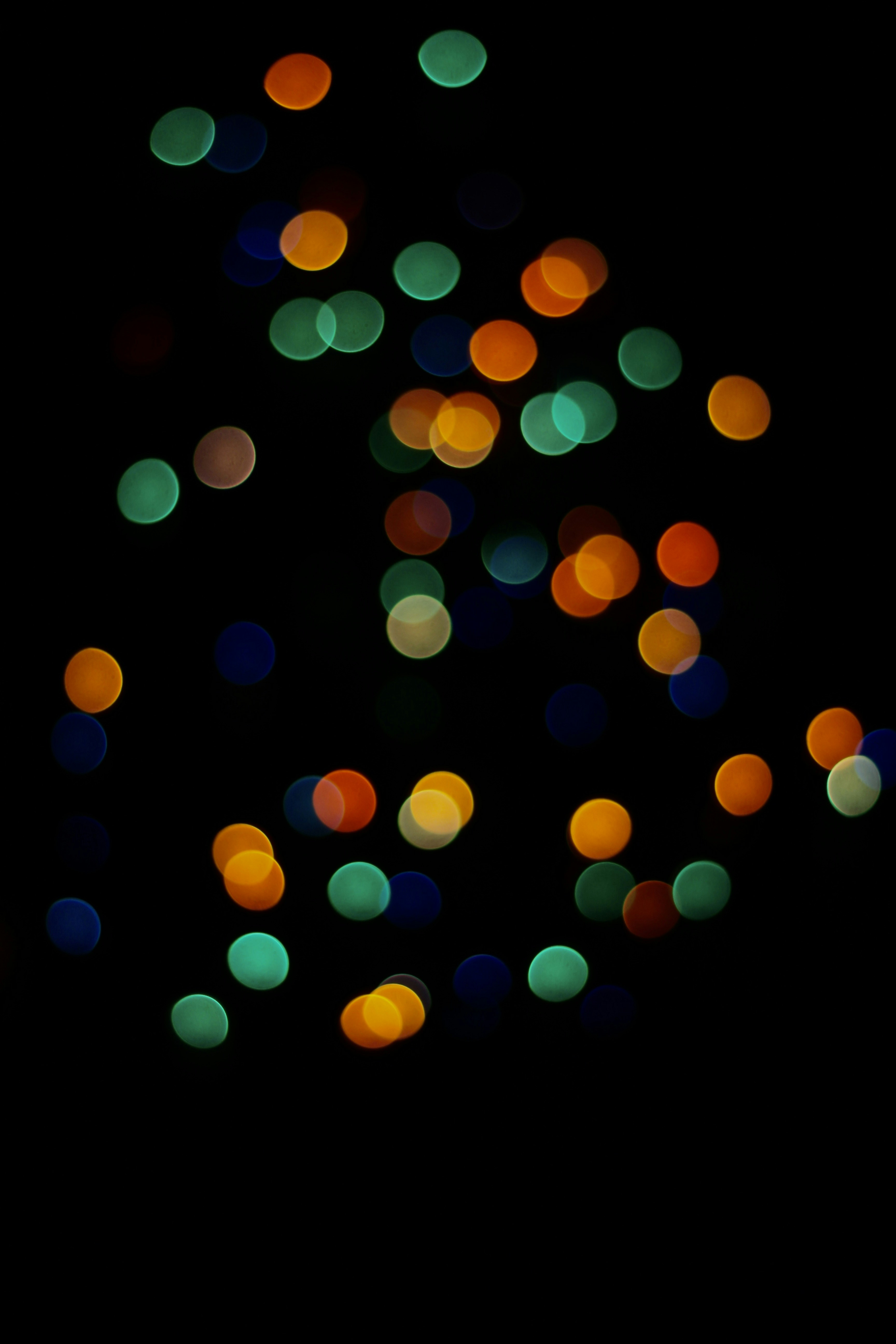 Photo by toushifalam