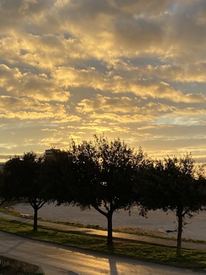 The image captures a serene landscape with the sun setting behind a row of trees. The sky is filled with golden and slightly cloudy. The trees are dark silhouettes against the bright sky. A pathway runs alongside the trees, with a soft glow from the setting sun reflecting on it. There is grass on either side of the pathway and part of a river or lake is visible.