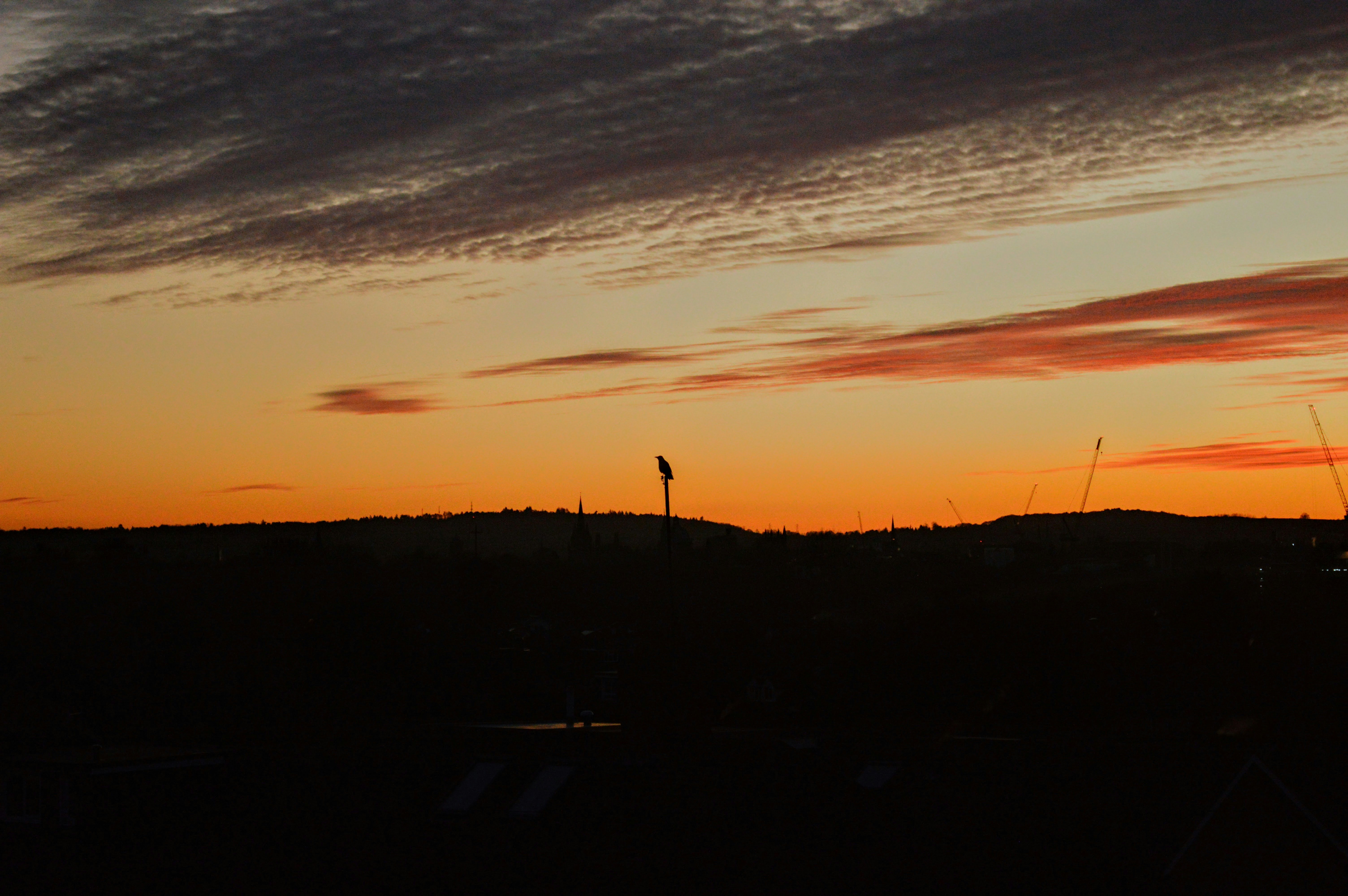Photo by henry_p