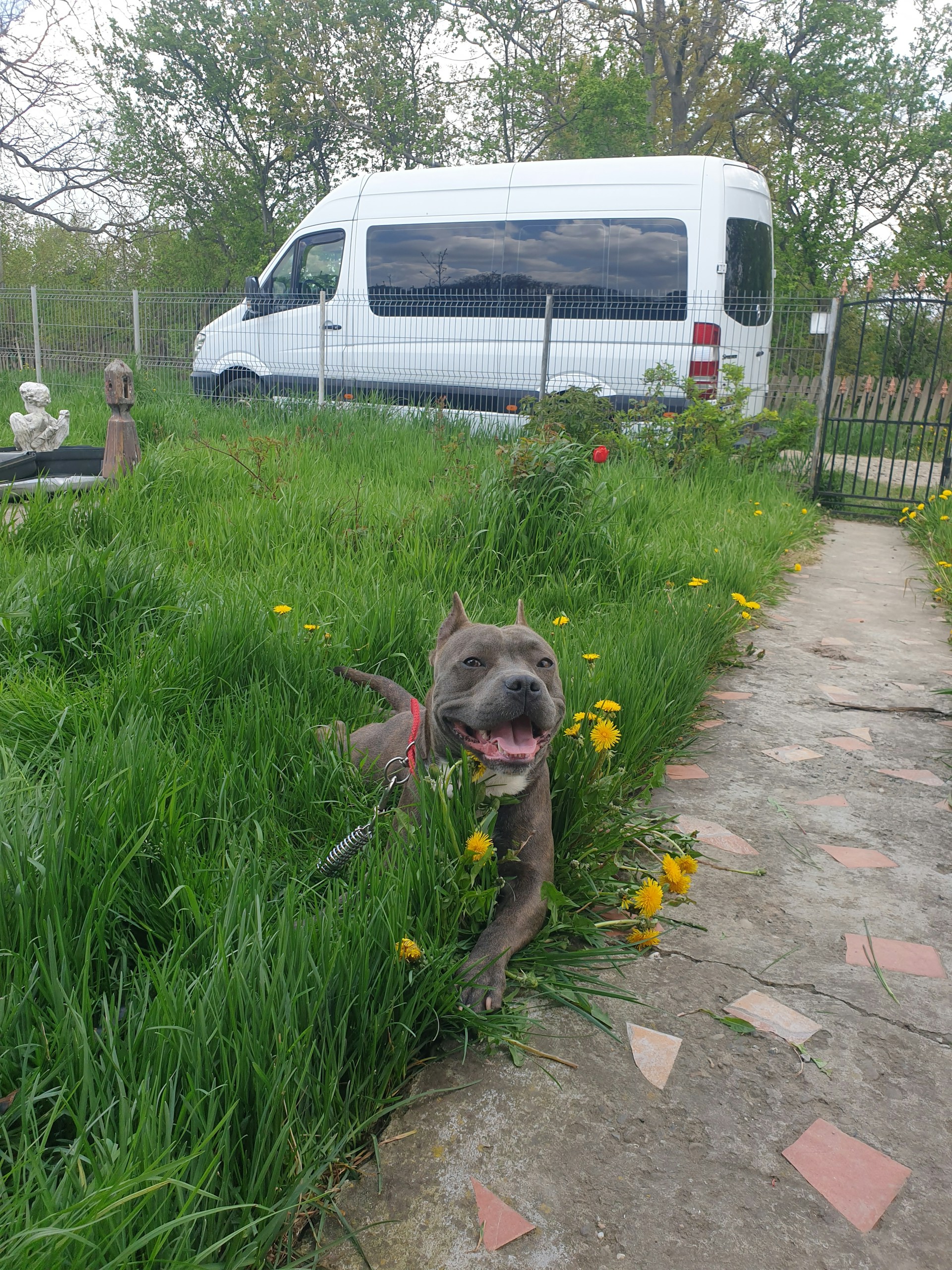 gray computer monitor